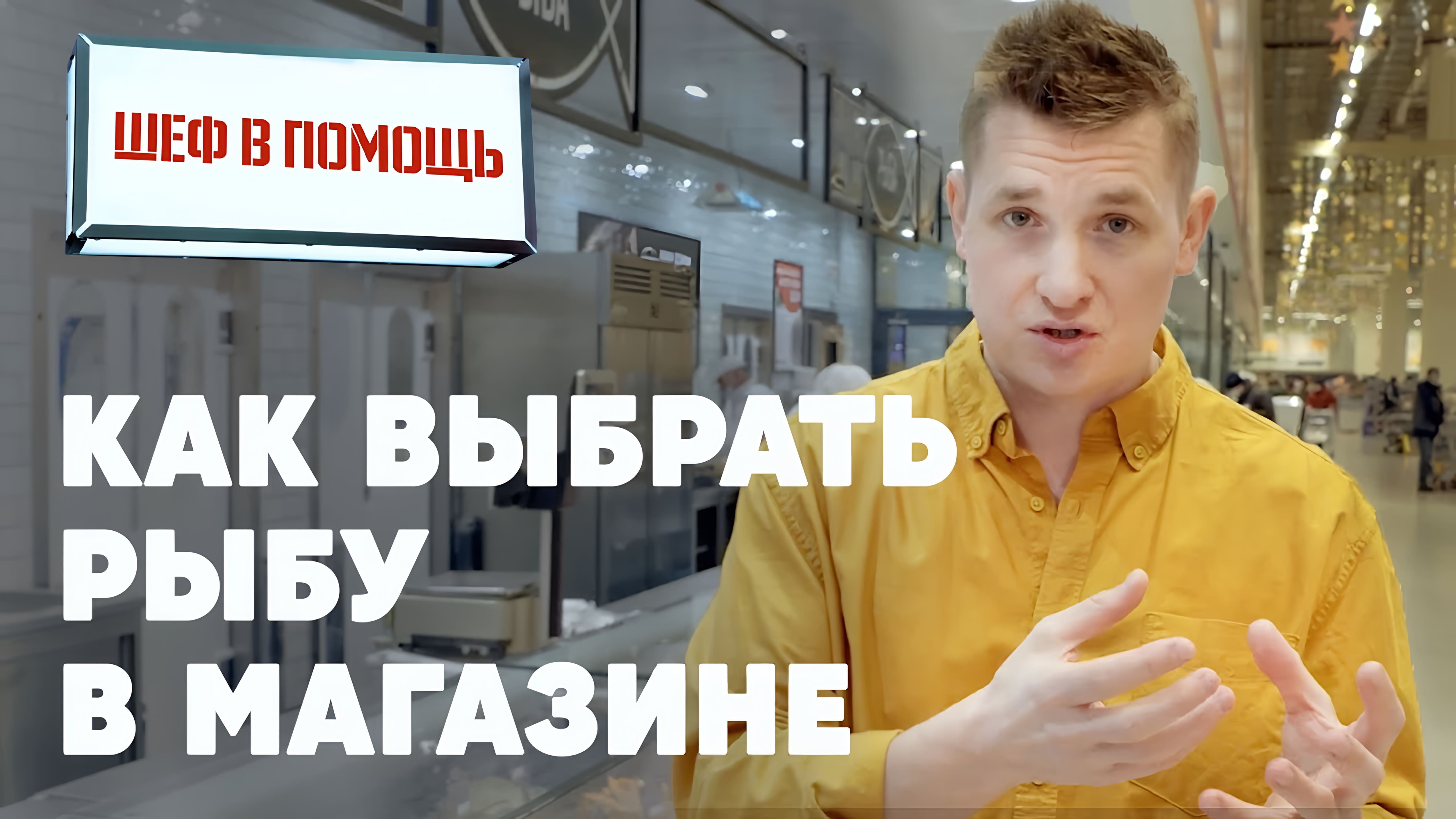 Видео: КАК ВЫБРАТЬ РЫБУ В МАГАЗИНЕ — советы от шефа Бельковича | ПроСто кухня |