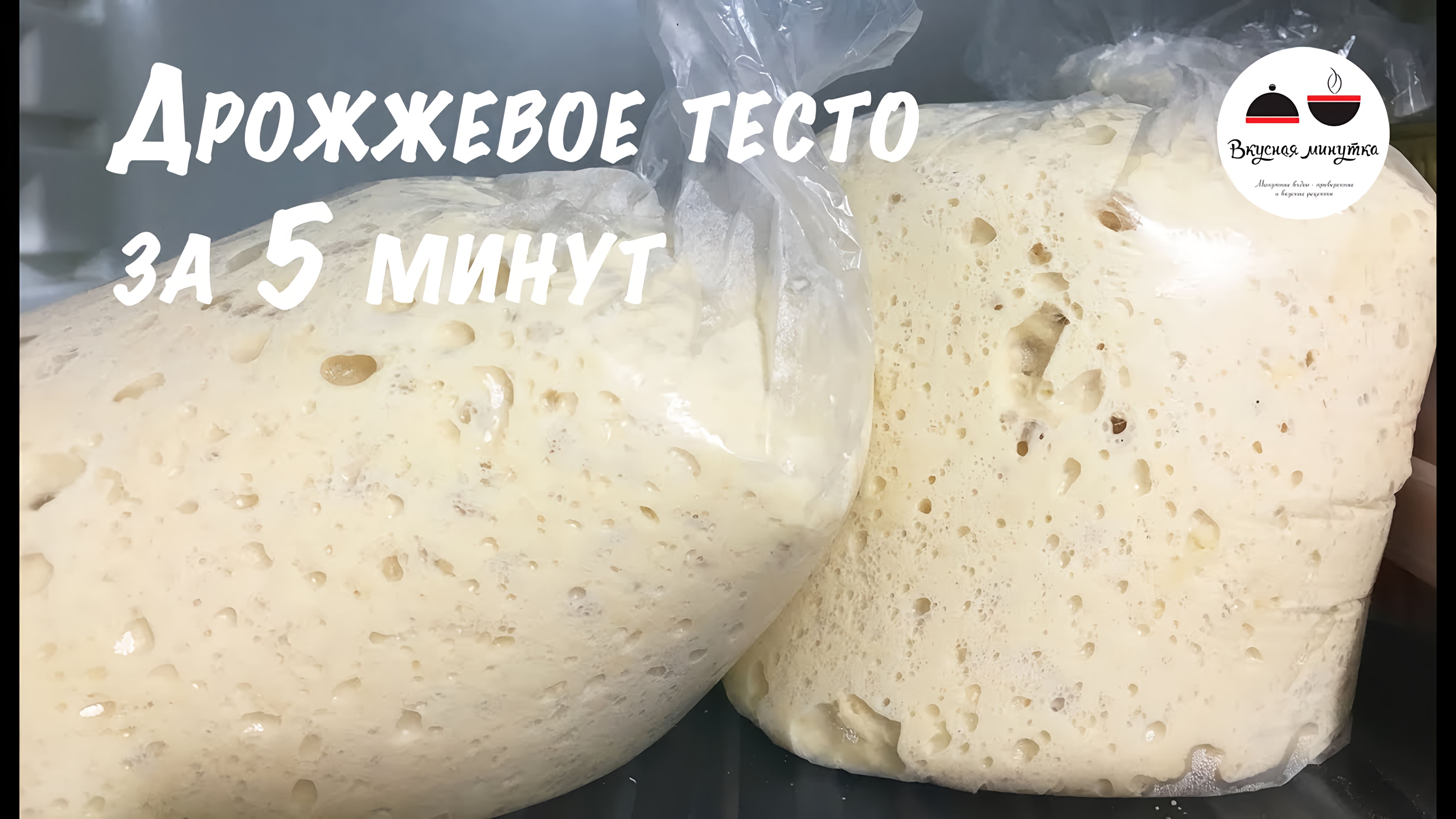 Видео: Дрожжевое тесто для ленивых  Рецепт дрожжевого теста за 5 минут  Yeast dough for 5 minutes