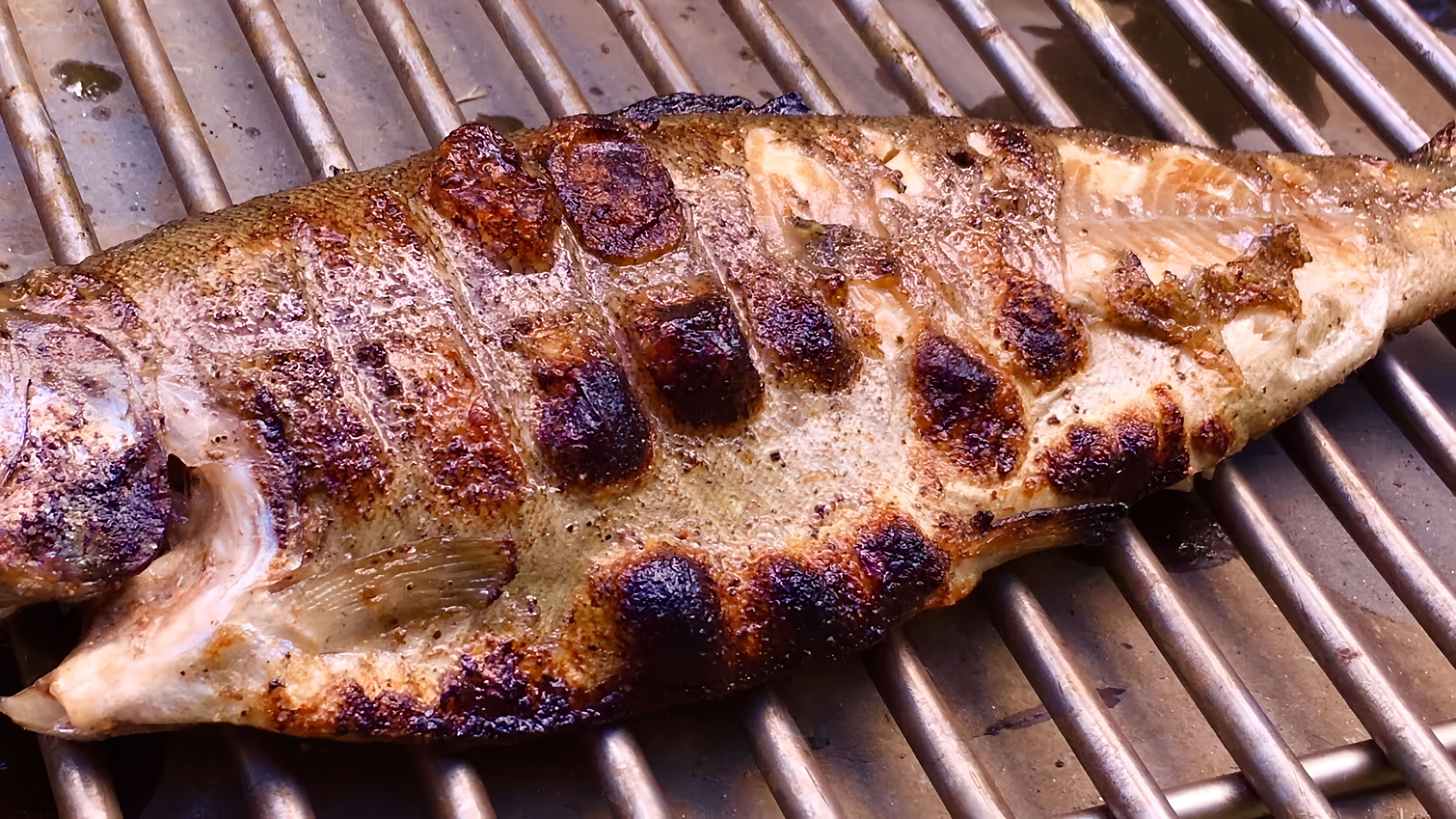 Видео: Форель на Мангале в Лимонно-Чесночном Маринаде | Grilled Trout with Garlic Lemon Sauce