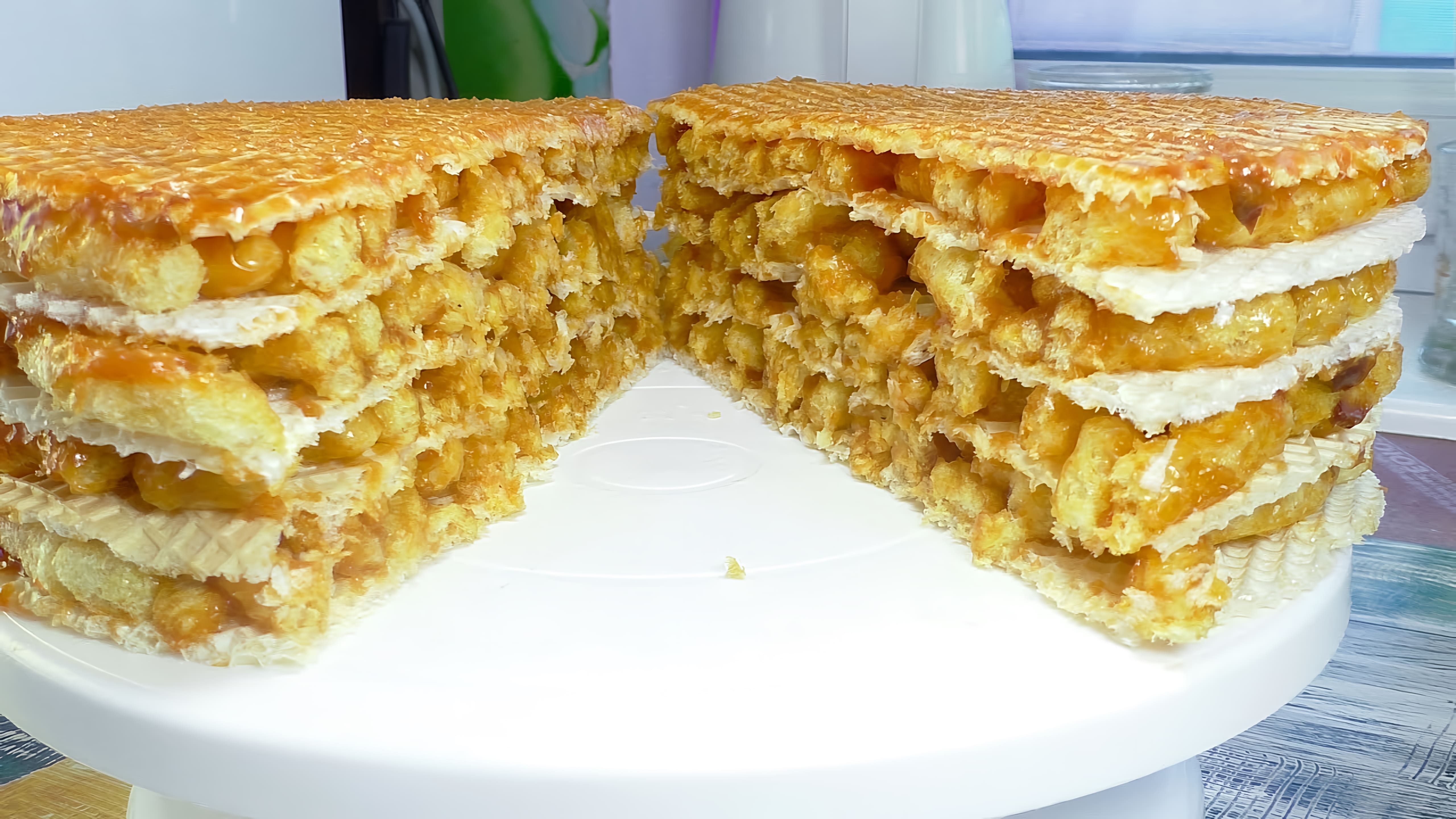 Видео: Без выпечки, без печенья, без желатина: десерт, который можно сделать за 10 минут