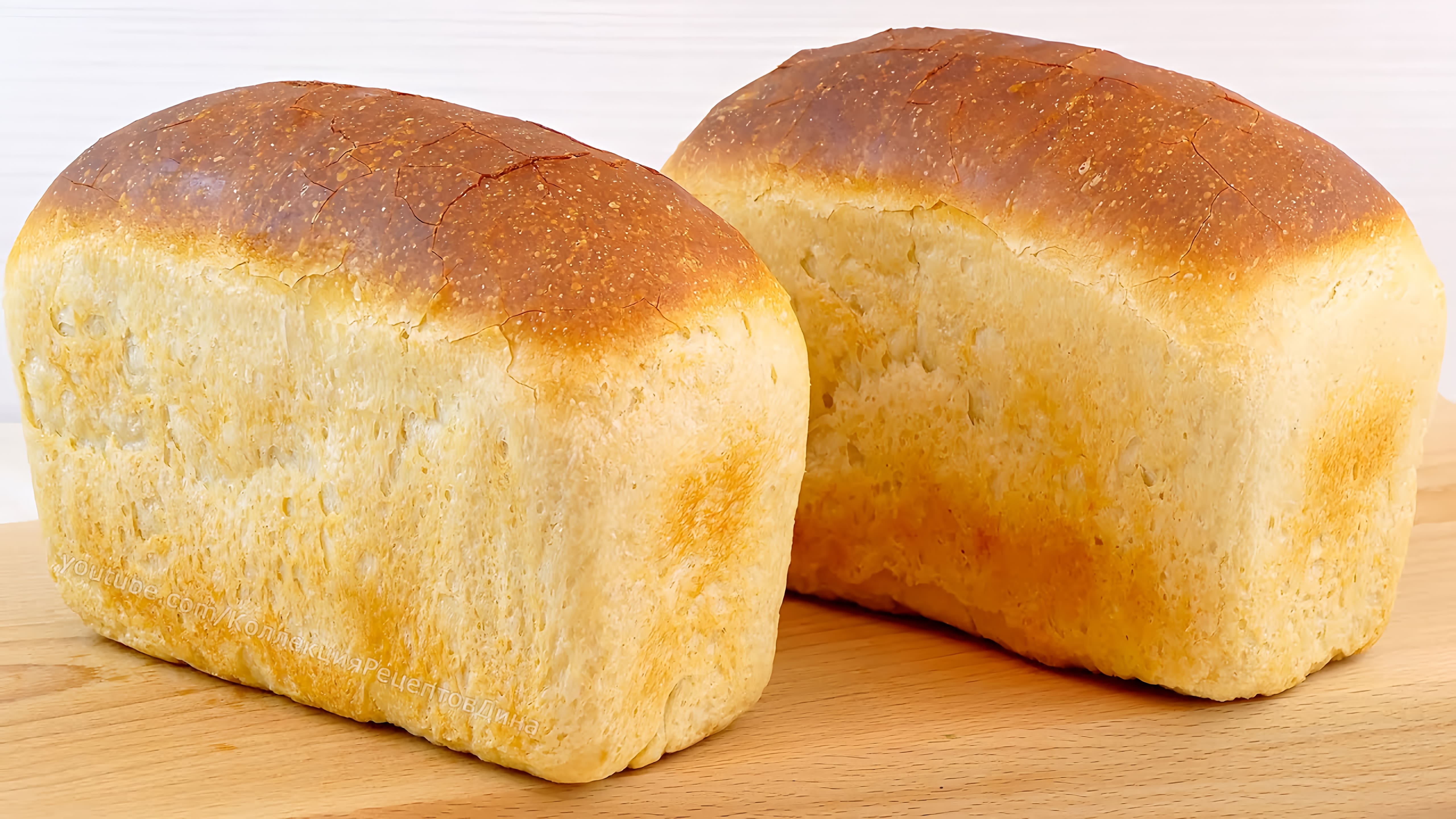 Видео: Белый хлеб на пшеничной закваске! Как вывести пшеничную закваску из ржаной!