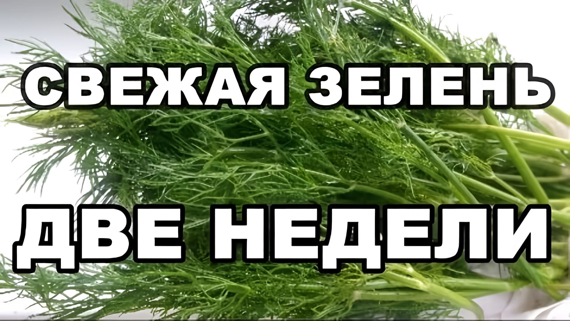 Видео: Секреты правильного хранения зелени в холодильнике: свежая зелень на долгое время