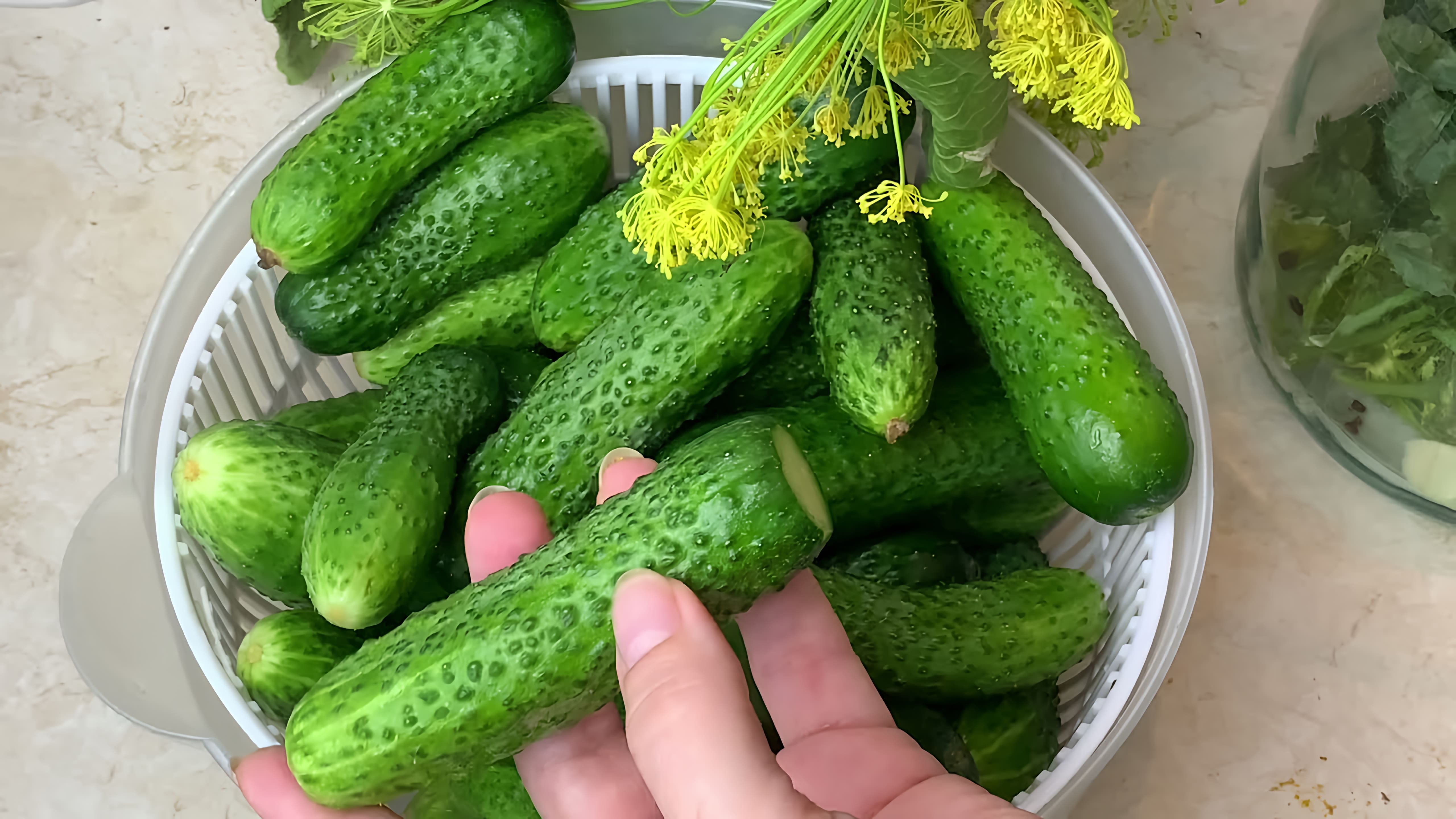 Видео: Беру банку и готовлю СОЛЕНЫЕ Огурцы. Они такие вкусные, что едят все! ЛУЧШИЙ РЕЦЕПТ!