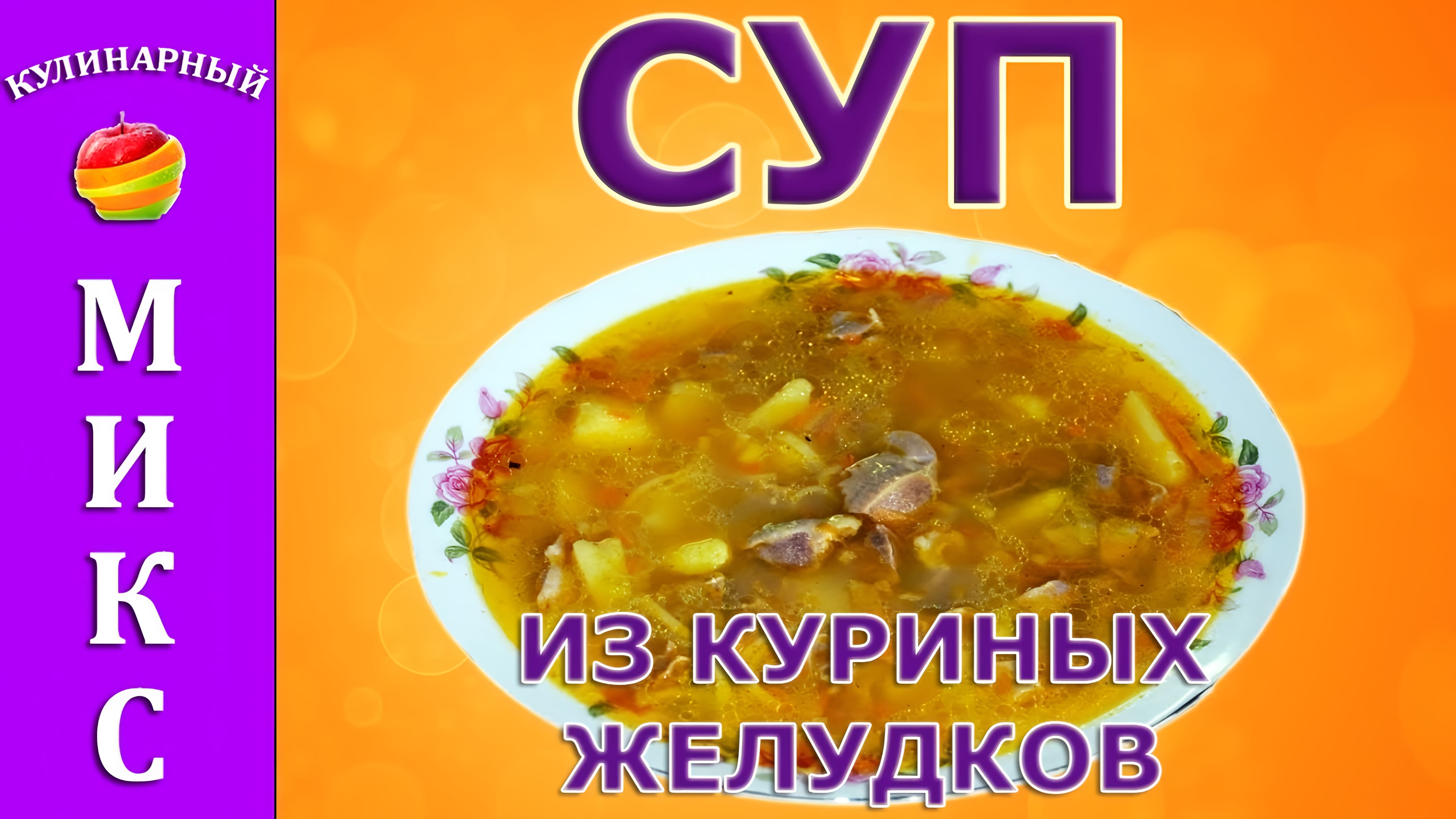 Видео: Суп из куриных желудков — вкусный и простой рецепт!