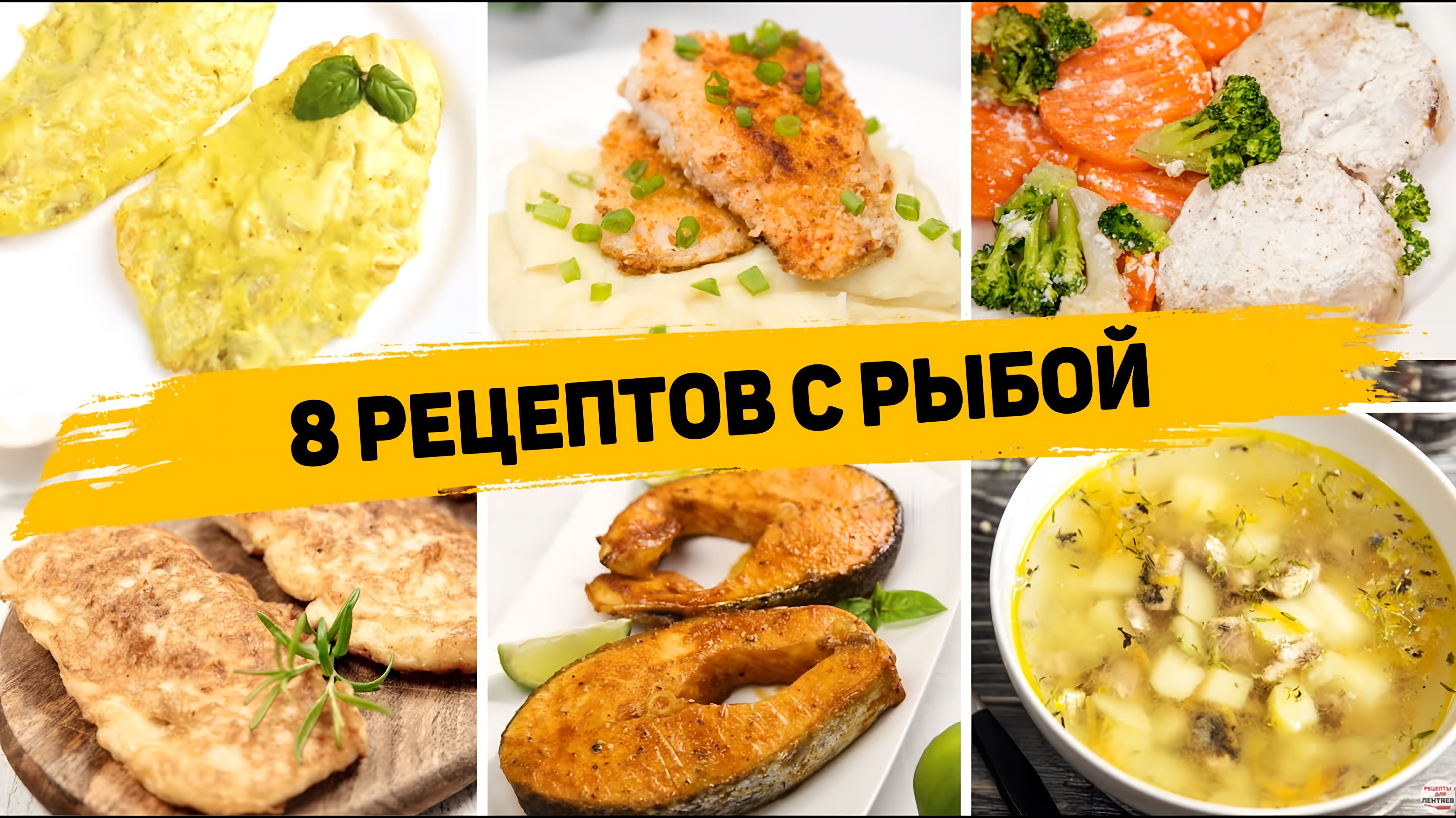 Видео: 8 Самых ВКУСНЫХ Рецептов из РЫБЫ — Ленивые РЕЦЕПТЫ на КАЖДЫЙ ДЕНЬ