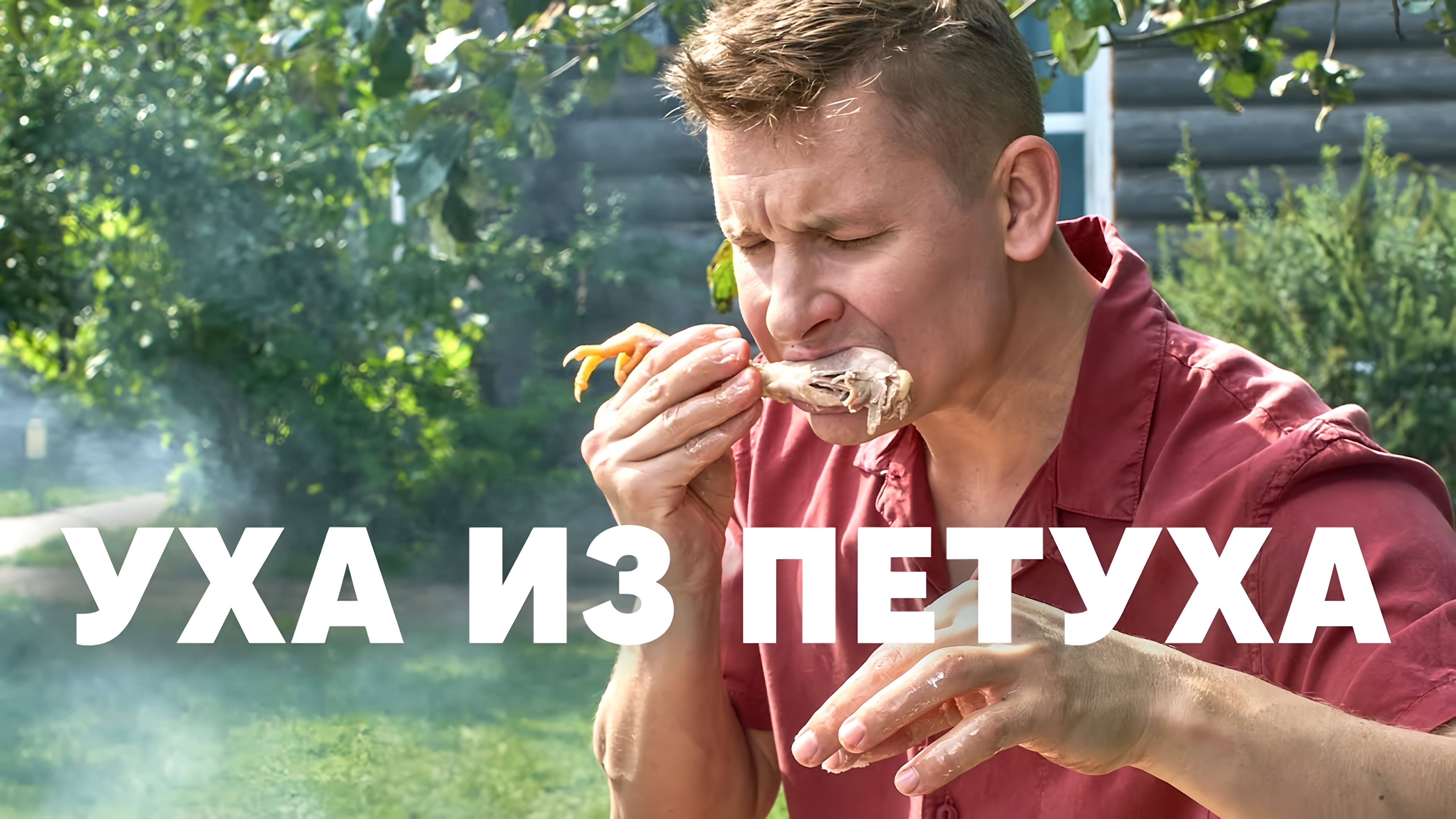 Видео: УХА ИЗ ПЕТУХА | ПроСто кухня |