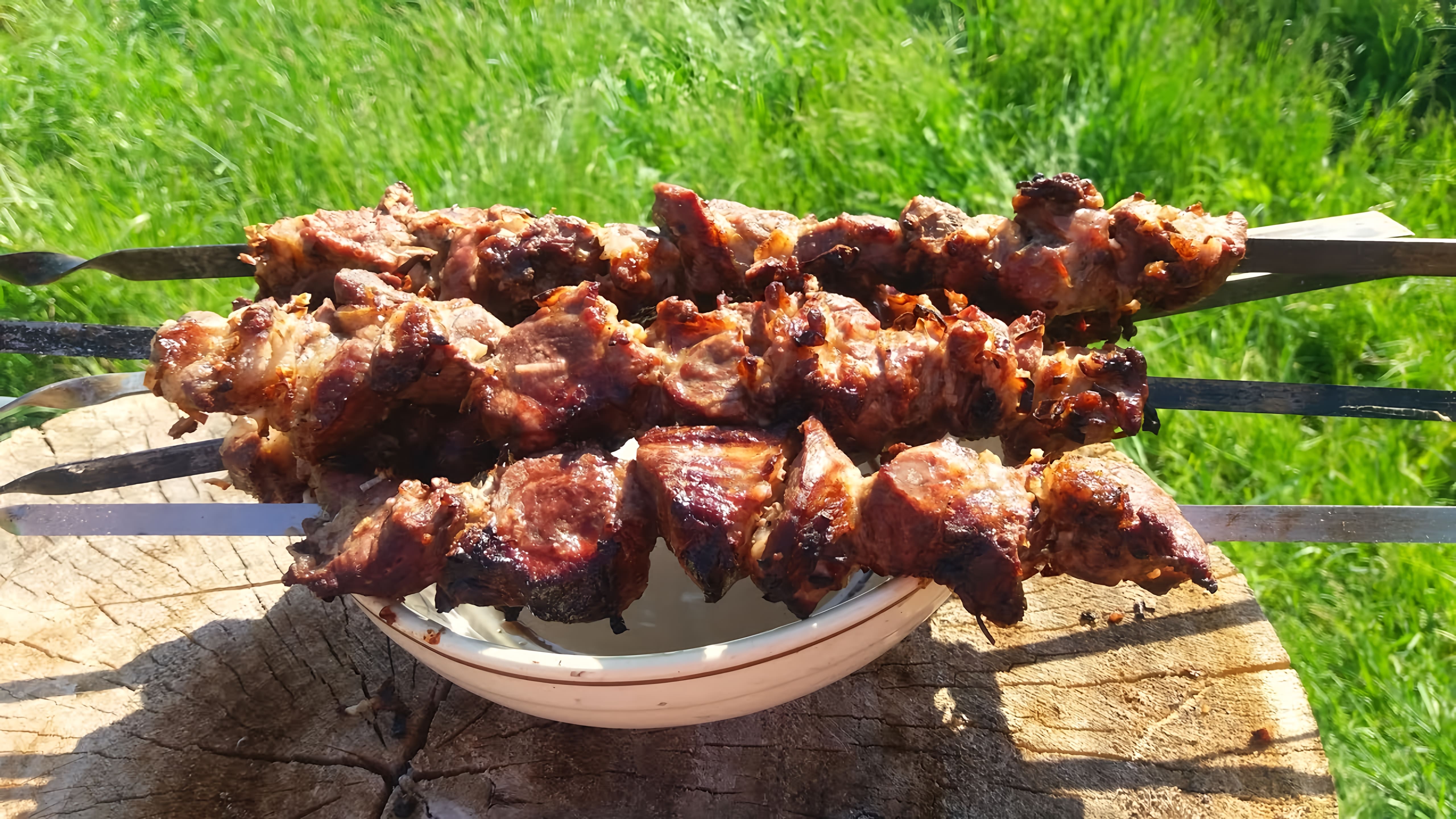 Видео: Сочный Шашлык по рецепту мужа. Очень вкусный  Шашлык в луковом маринаде