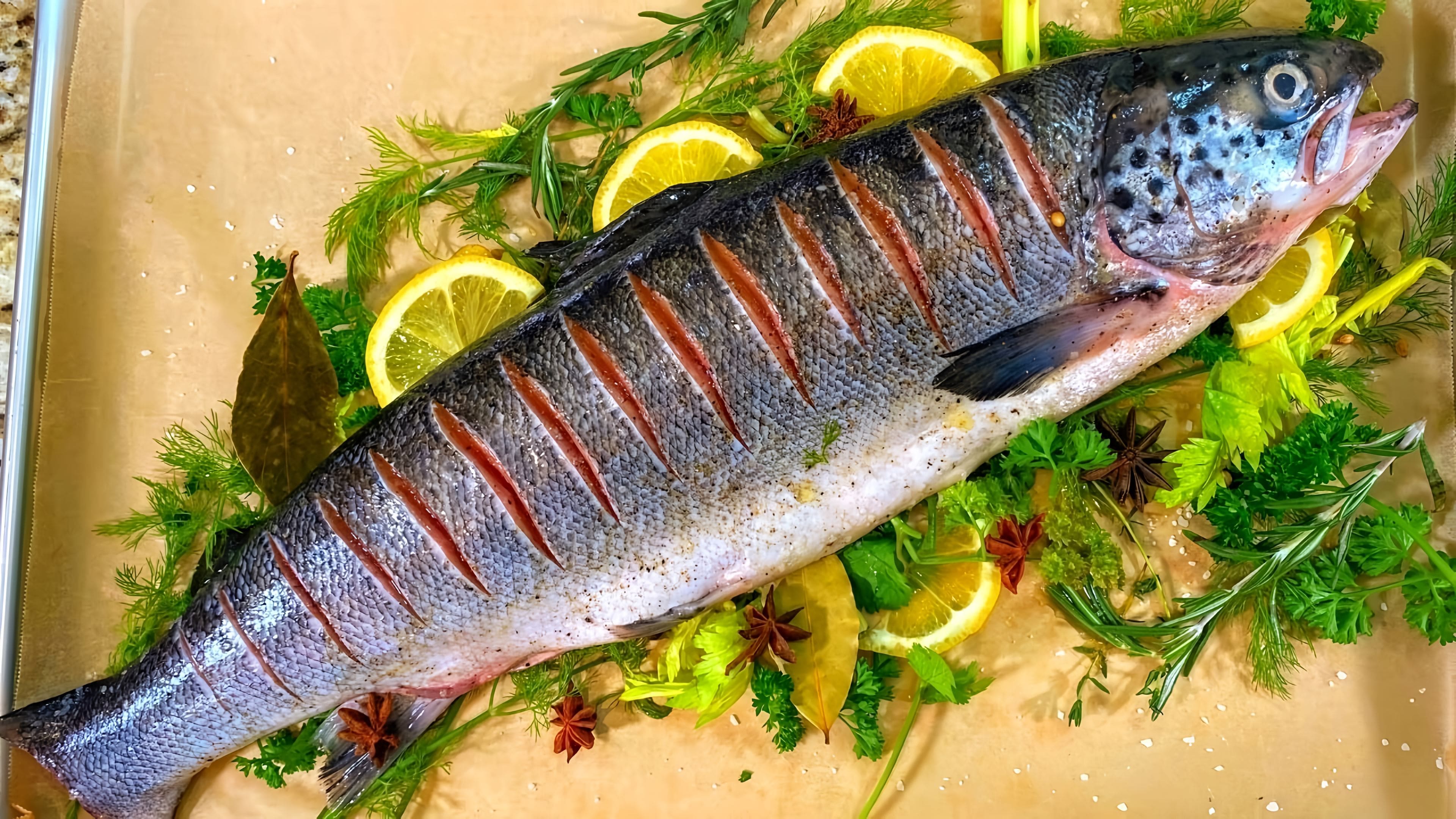 Форель запеченная в духовке. Сочный и вкусный рецепт на праздничный стол.  Онлайн видео на Повар.ТВ