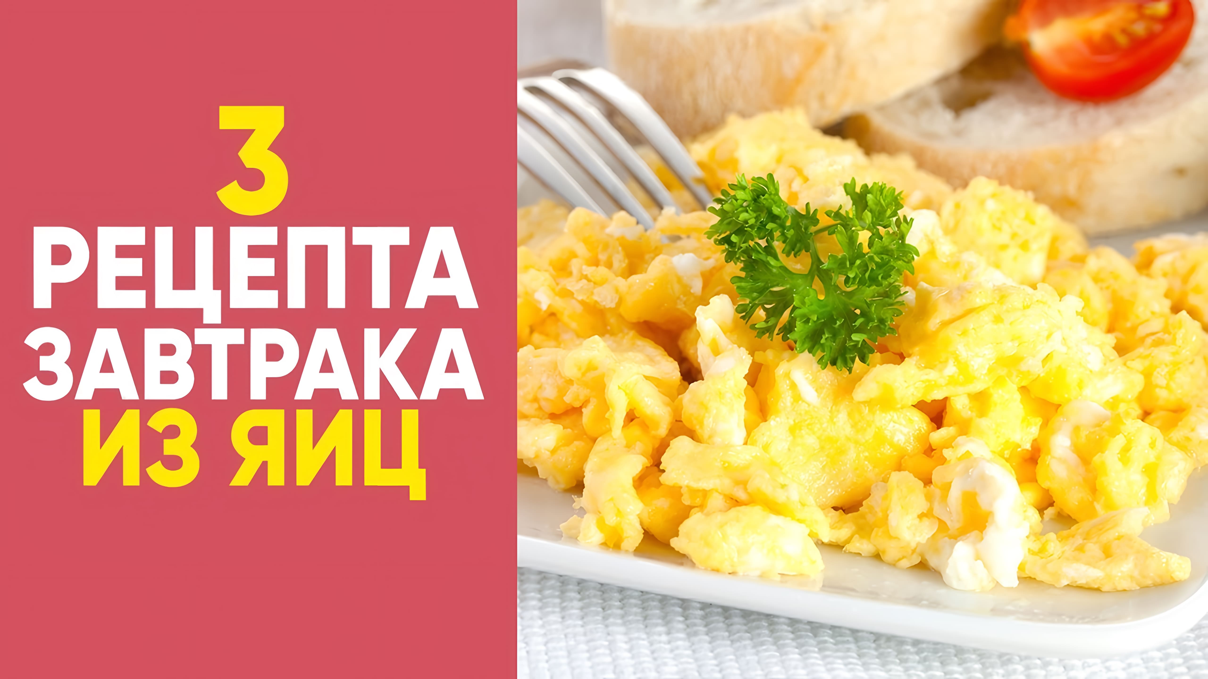 Видео: ТОП 3 рецепта ЗАВТРАКА из ЯИЦ  [Simple Food — видео рецепты]