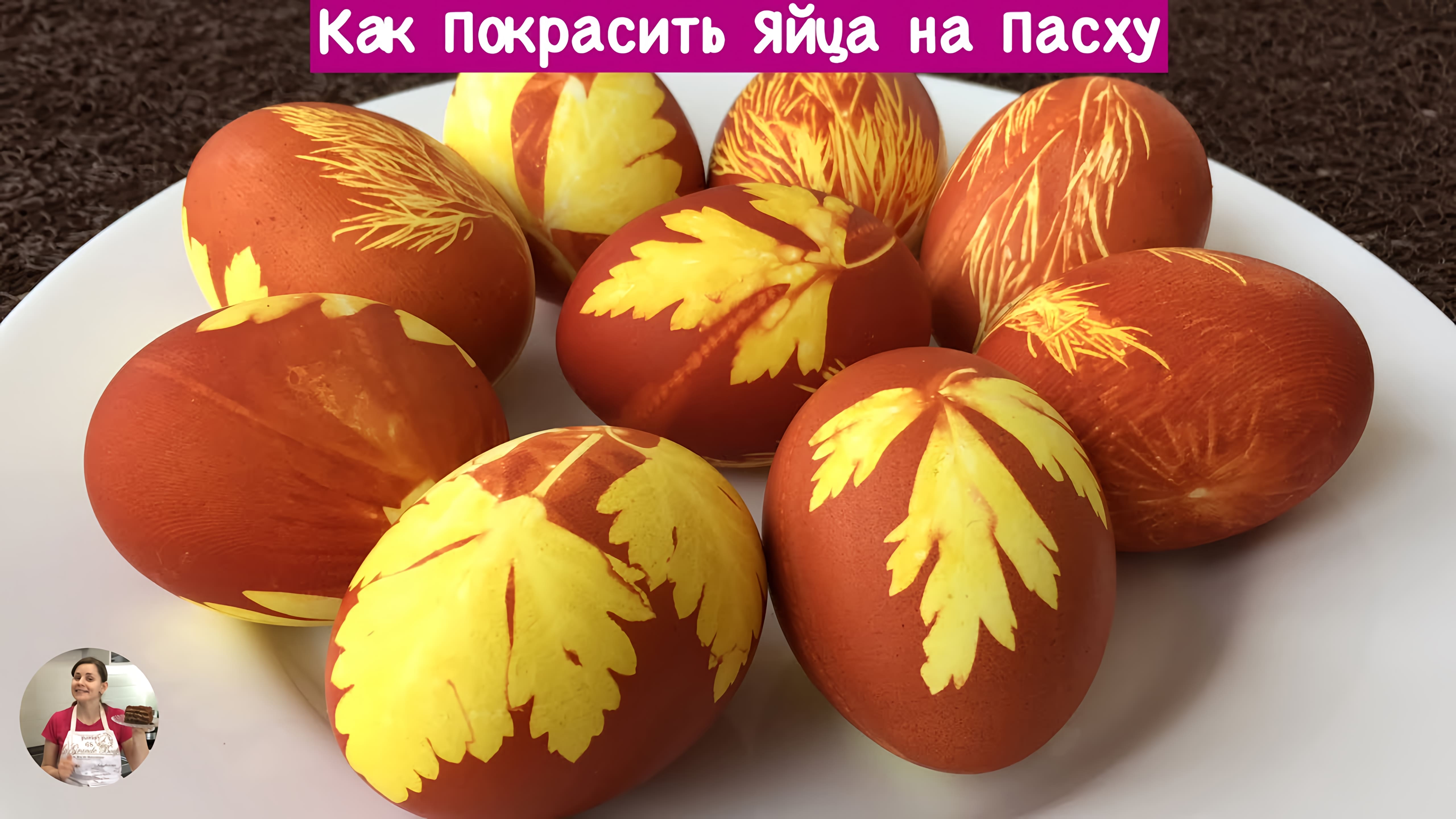 Видео: Как Покрасить Яйца на Пасху — Очень Просто!!! ( How to Decorate  Eggs for Easter)