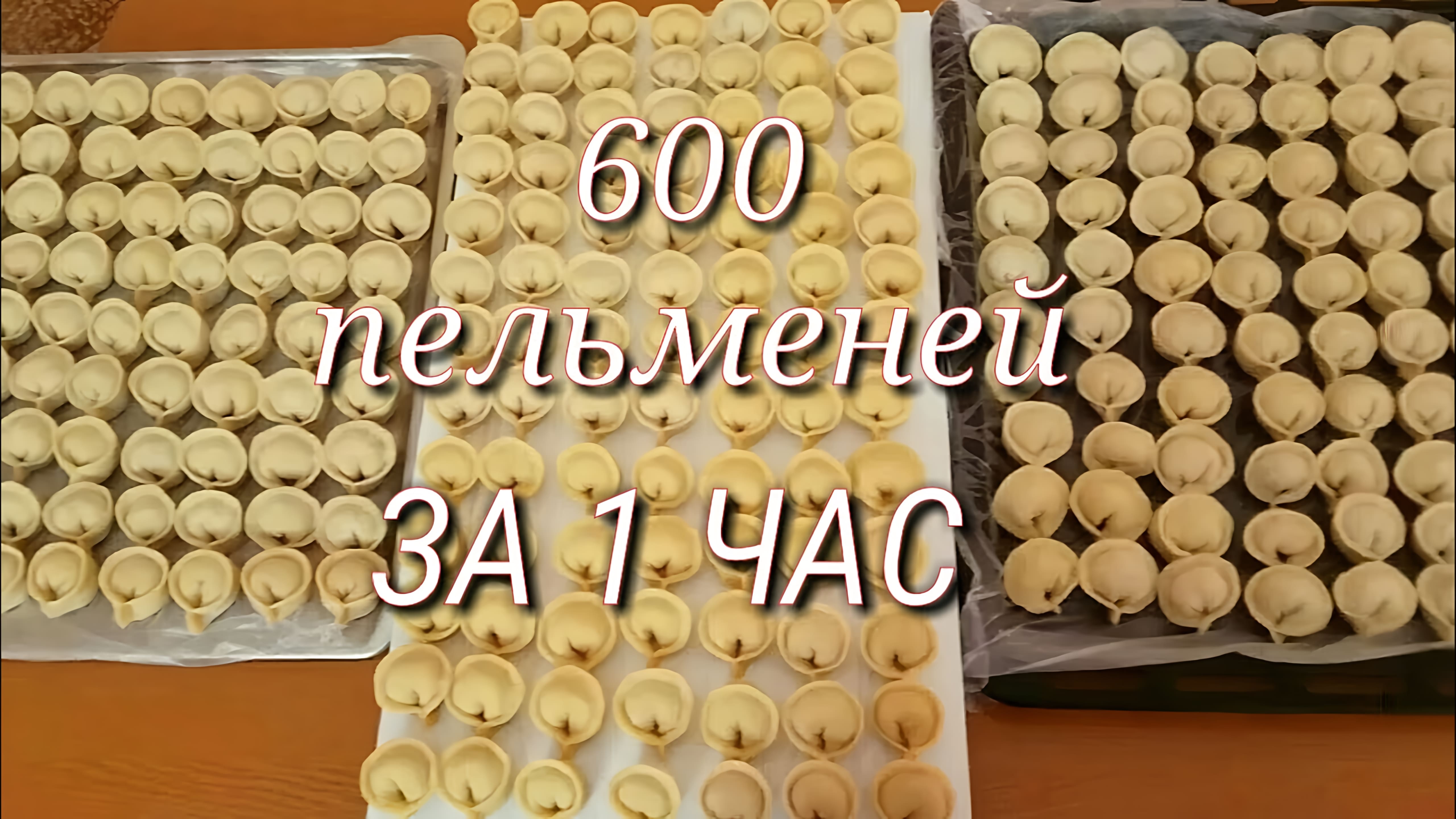 Видео: 600 ПЕЛЬМЕНЕЙ ЗА 1 ЧАС! ЛЕГКО И ПРОСТО!