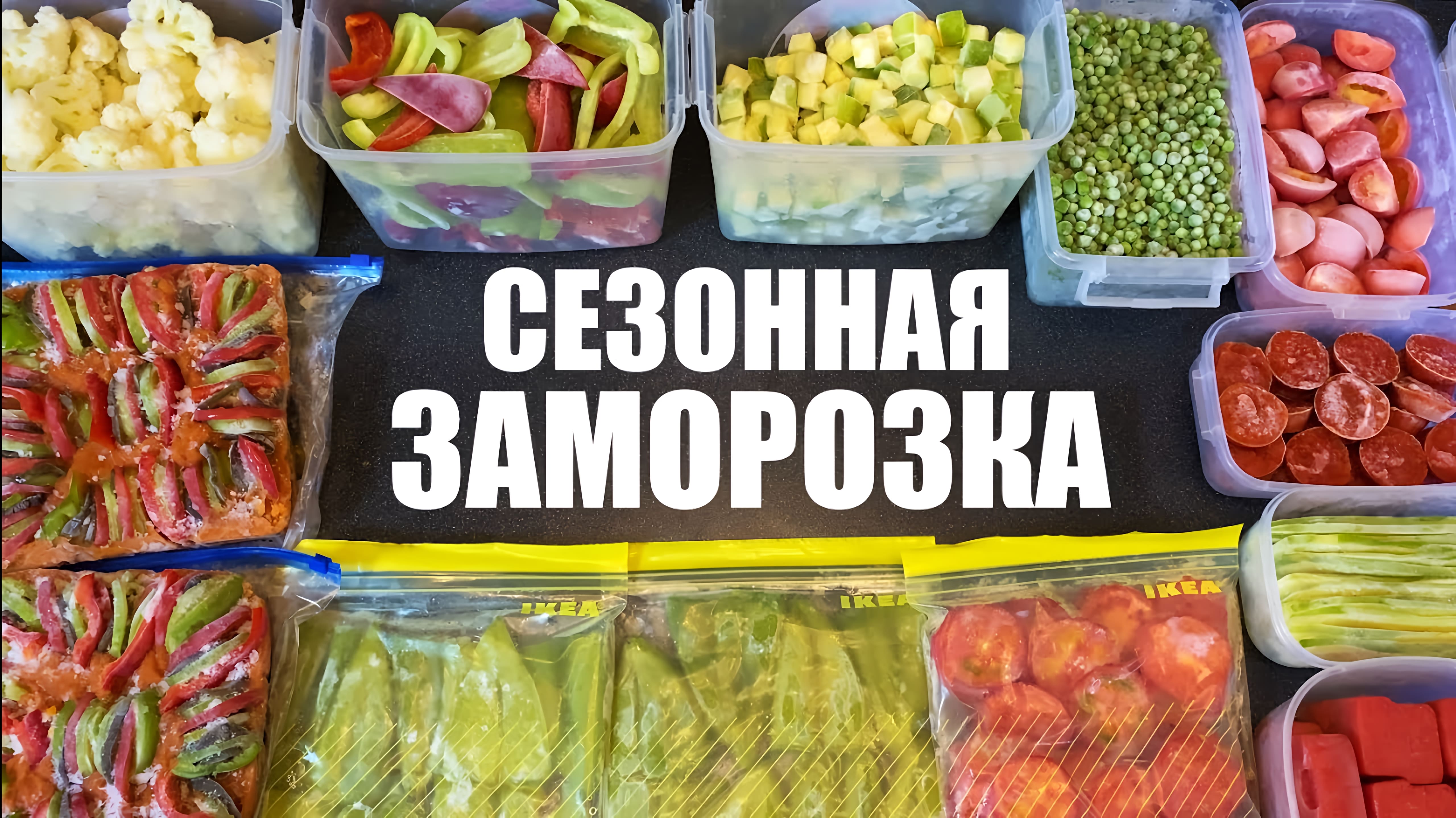 Видео: Сезонная ЗАМОРОЗКА овощей на зиму