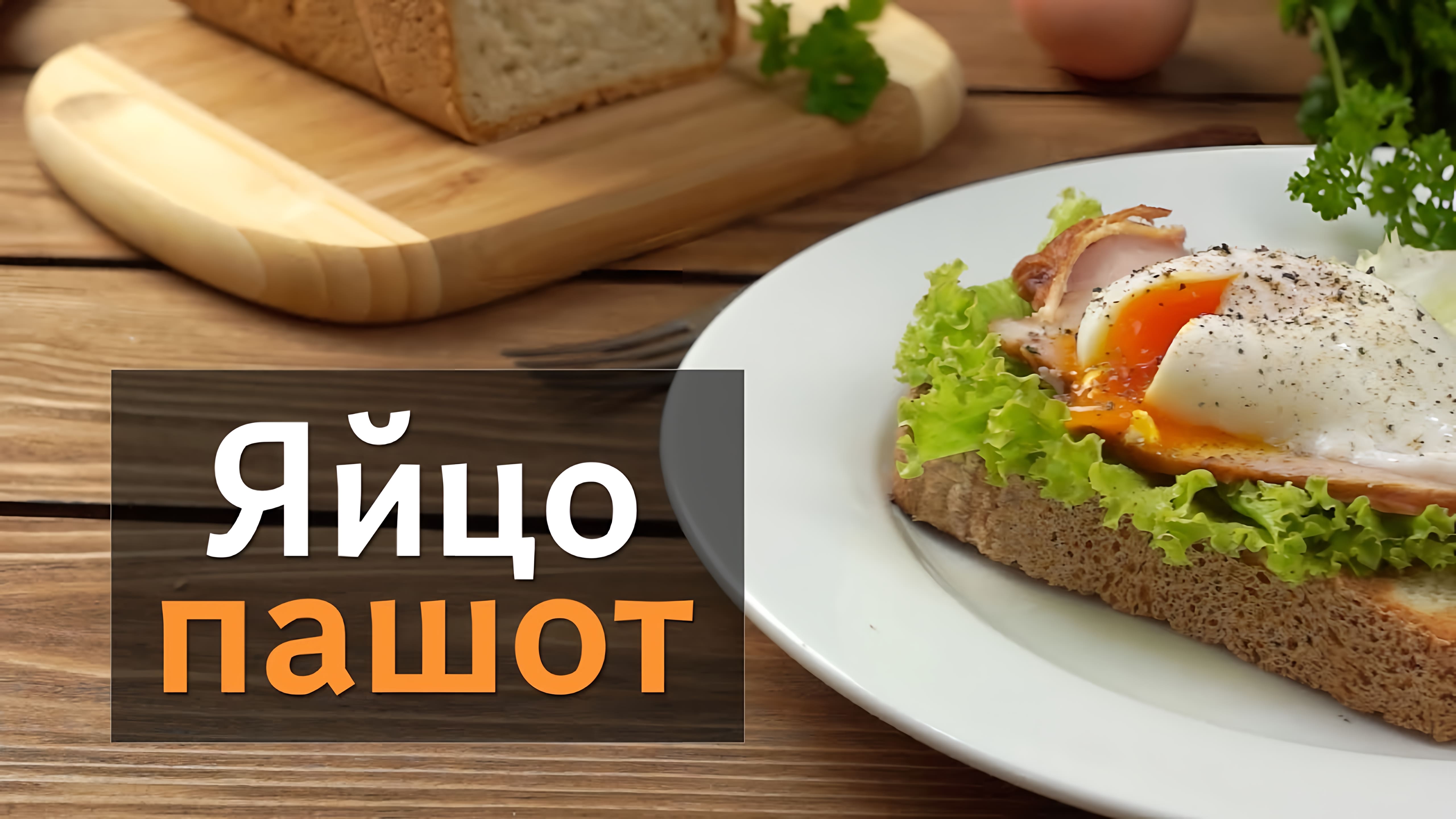 Видео: Как приготовить яйцо пашот – вкусный и простой завтрак!