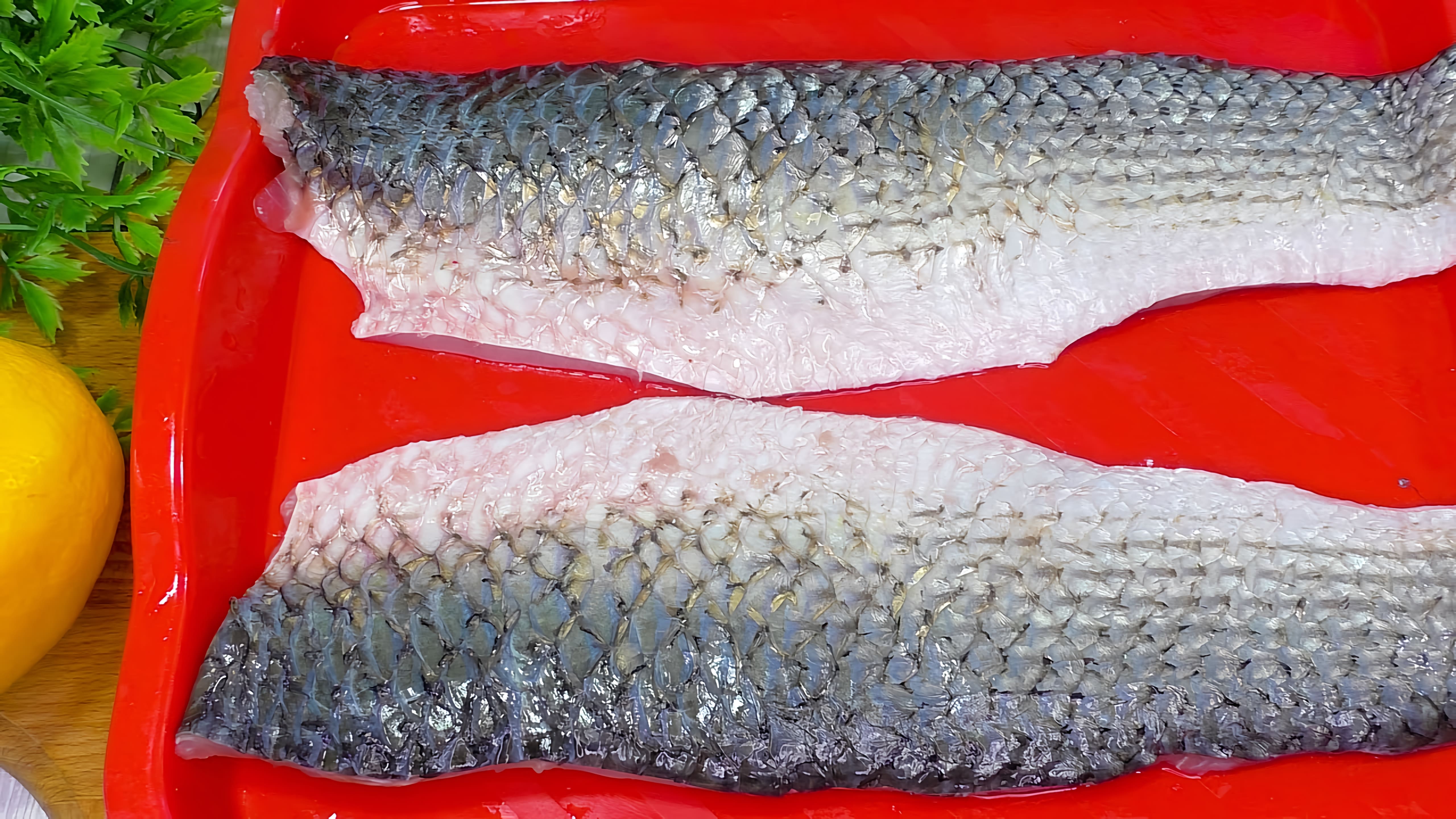 Видео: Три простых рецепта из рыбы: что приготовить на ужин?