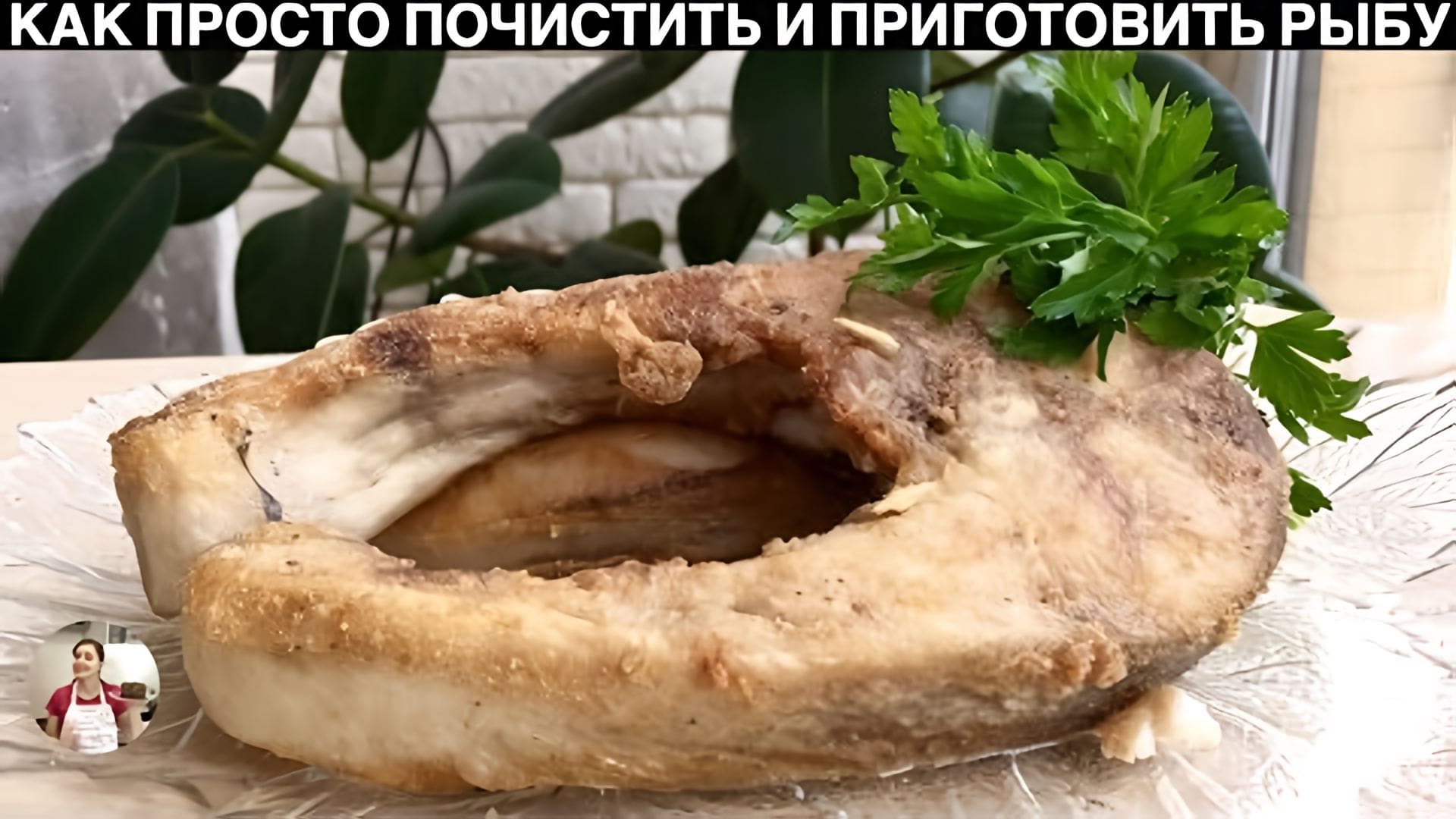 Видео: Как Просто Почистить Рыбу и Не Испачкать Всю Кухню Чешуей + Рецепт | How to Remove Scales from Fish