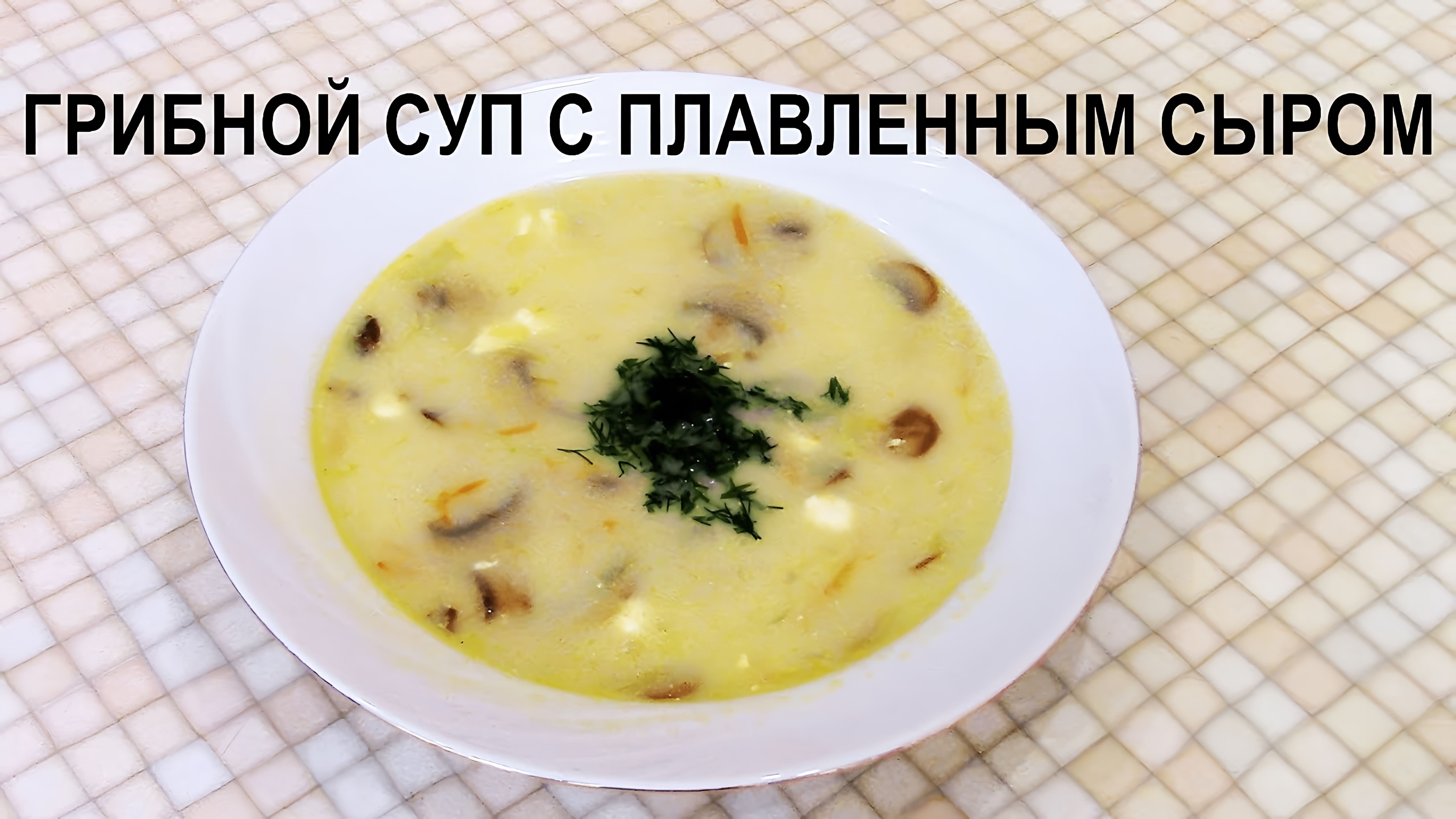 Видео: Грибной суп с плавленным сыром – очень простой и вкусный рецепт!