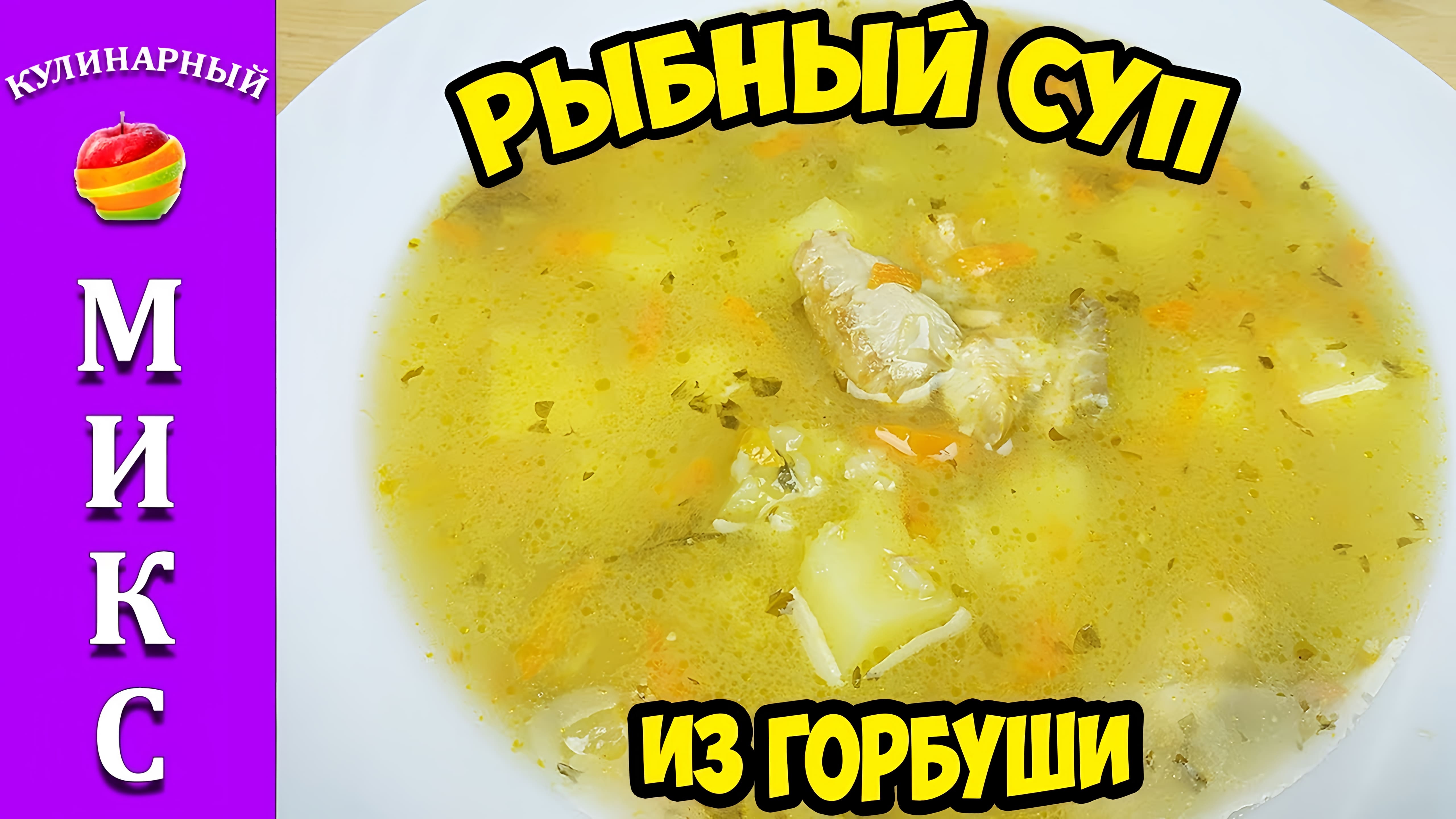 Видео: Рыбный суп из головы горбуши — дёшево, вкусно и просто!