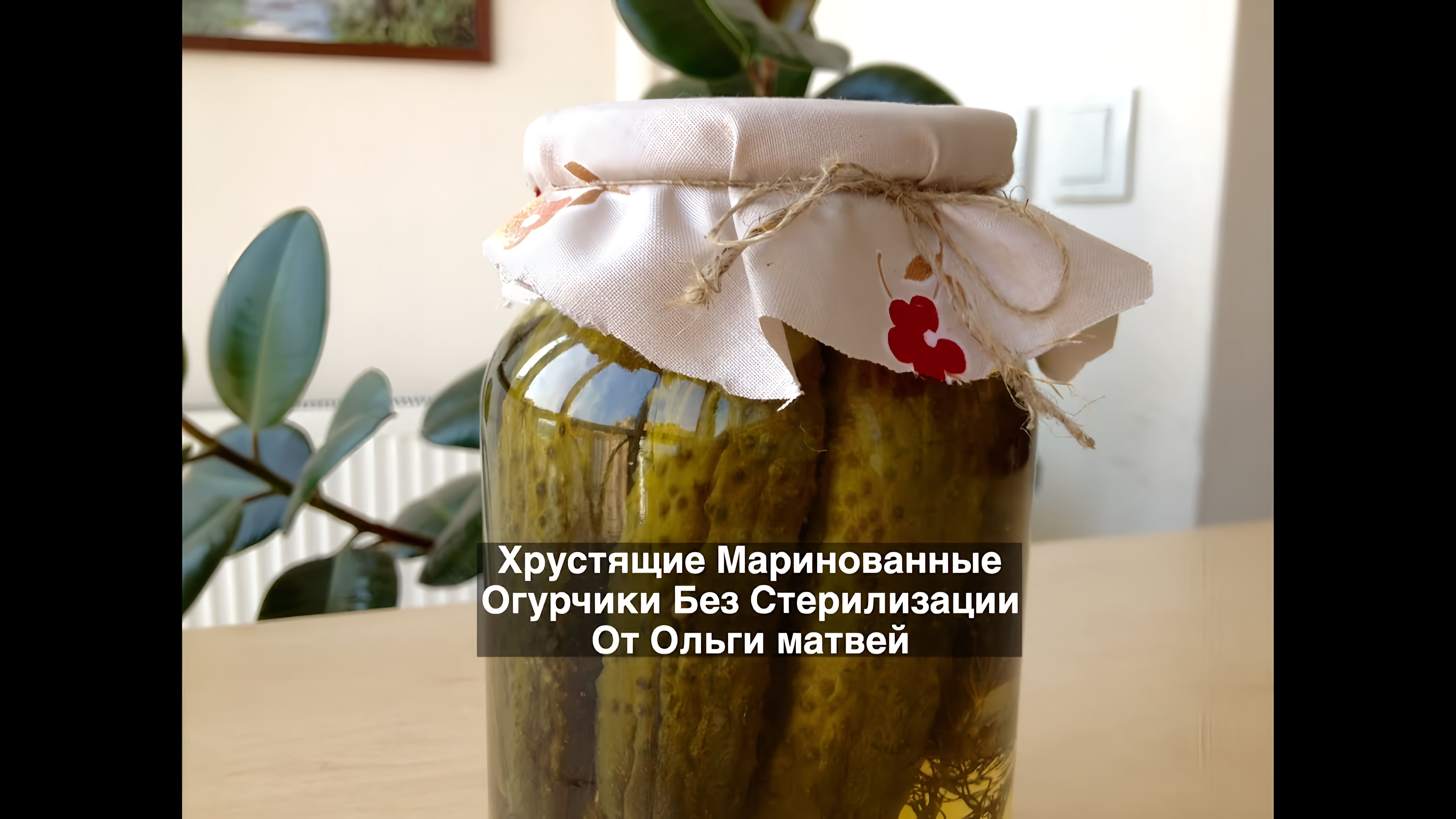 Видео: Хрустящие Маринованные Огурчики Без Стерилизации | Pickled Cucumbers