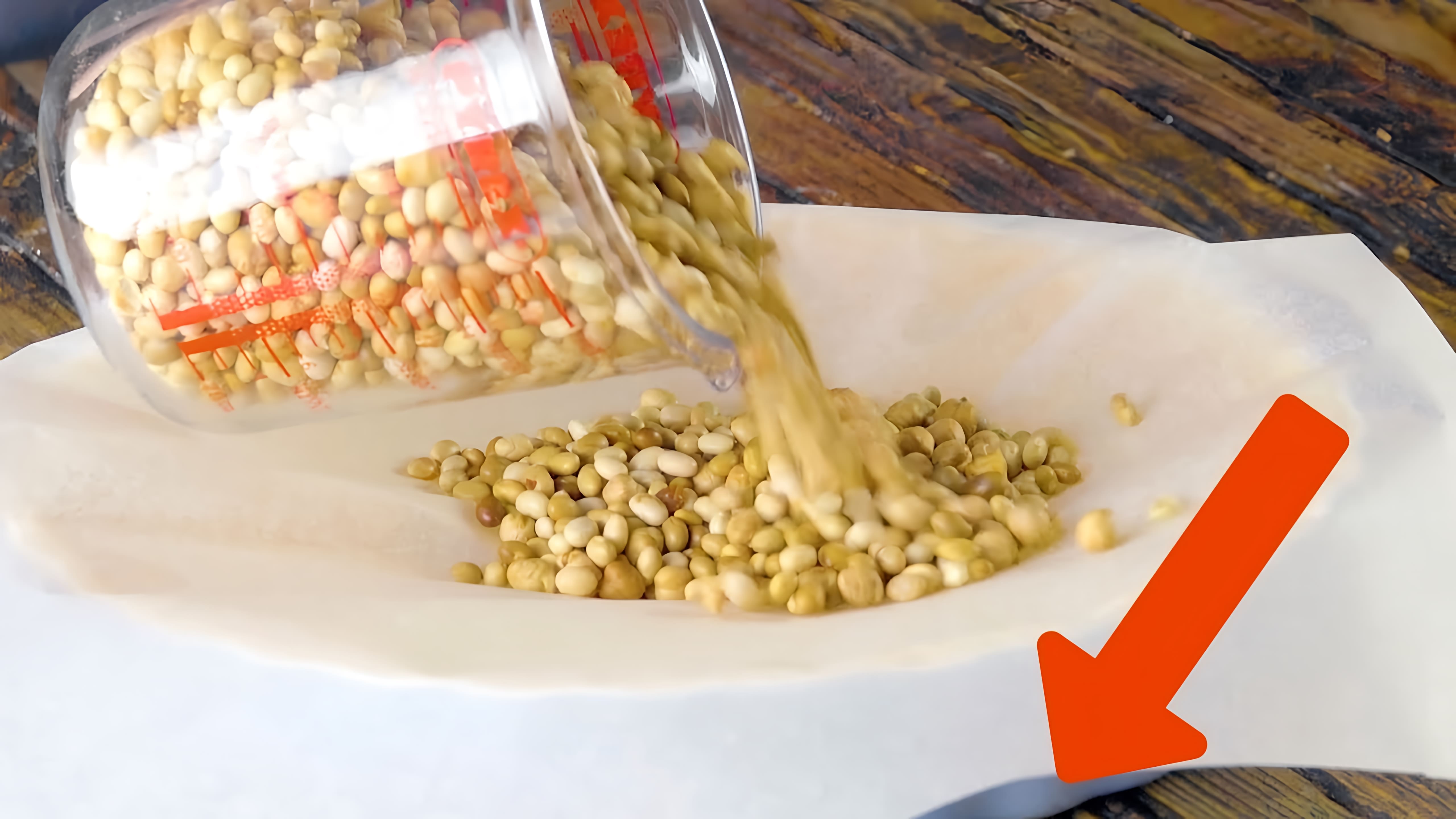 Видео: Насыпаем сухие бобы на бумагу. Через 20 минут получим роскошный результат!