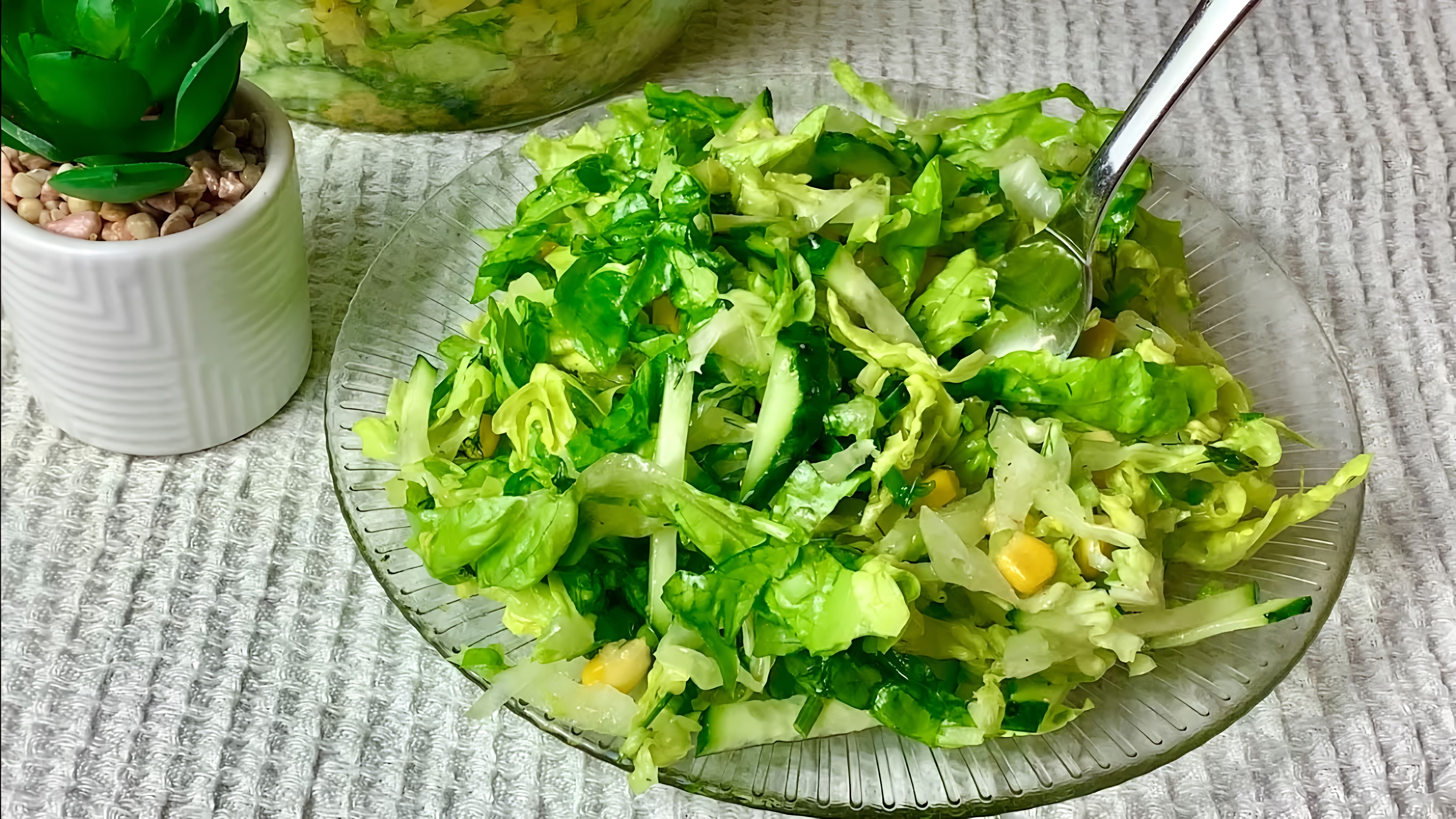 Видео: Беру БАНКУ КУКУРУЗЫ, капусту и готовлю Потрясающий салат! Вкусный рецепт из простых продуктов!