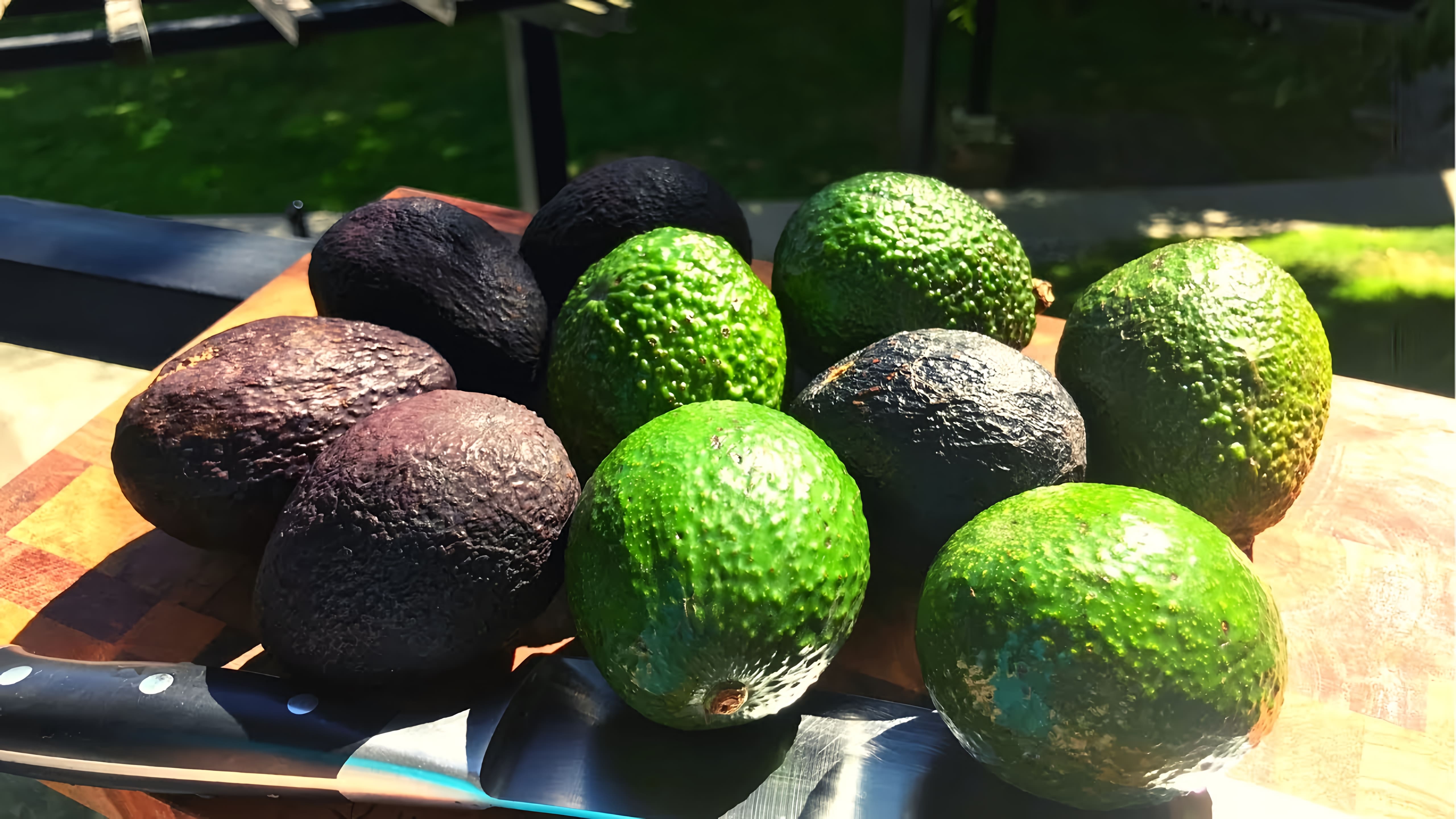 Видео: Как порезать авокадо? Как едят авокадо?  Как выбрать авокадо?