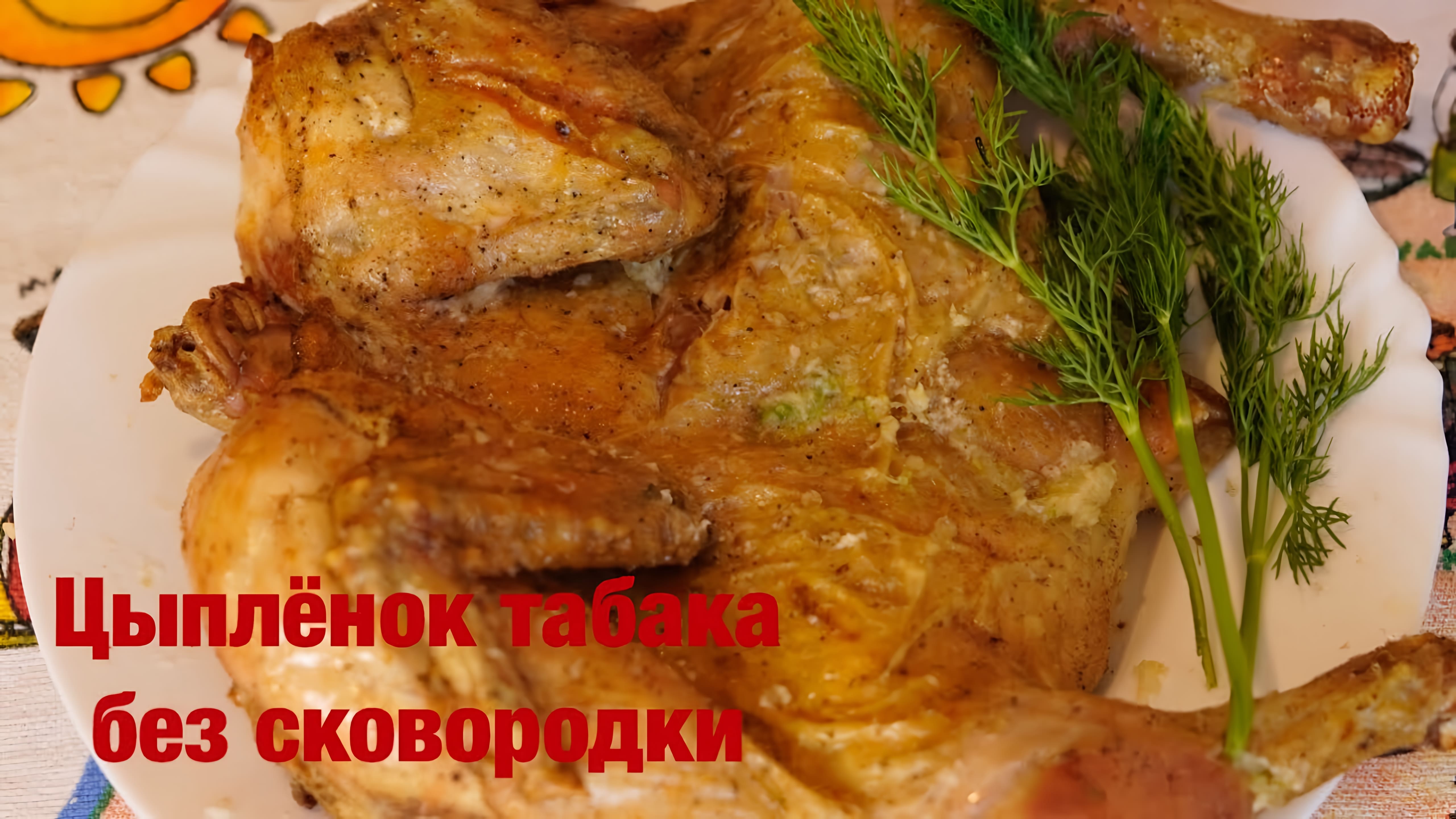 Видео: Вкуснейший Цыплёнок  Табака с Хрустящей Корочкой Быстро Недорого Легко