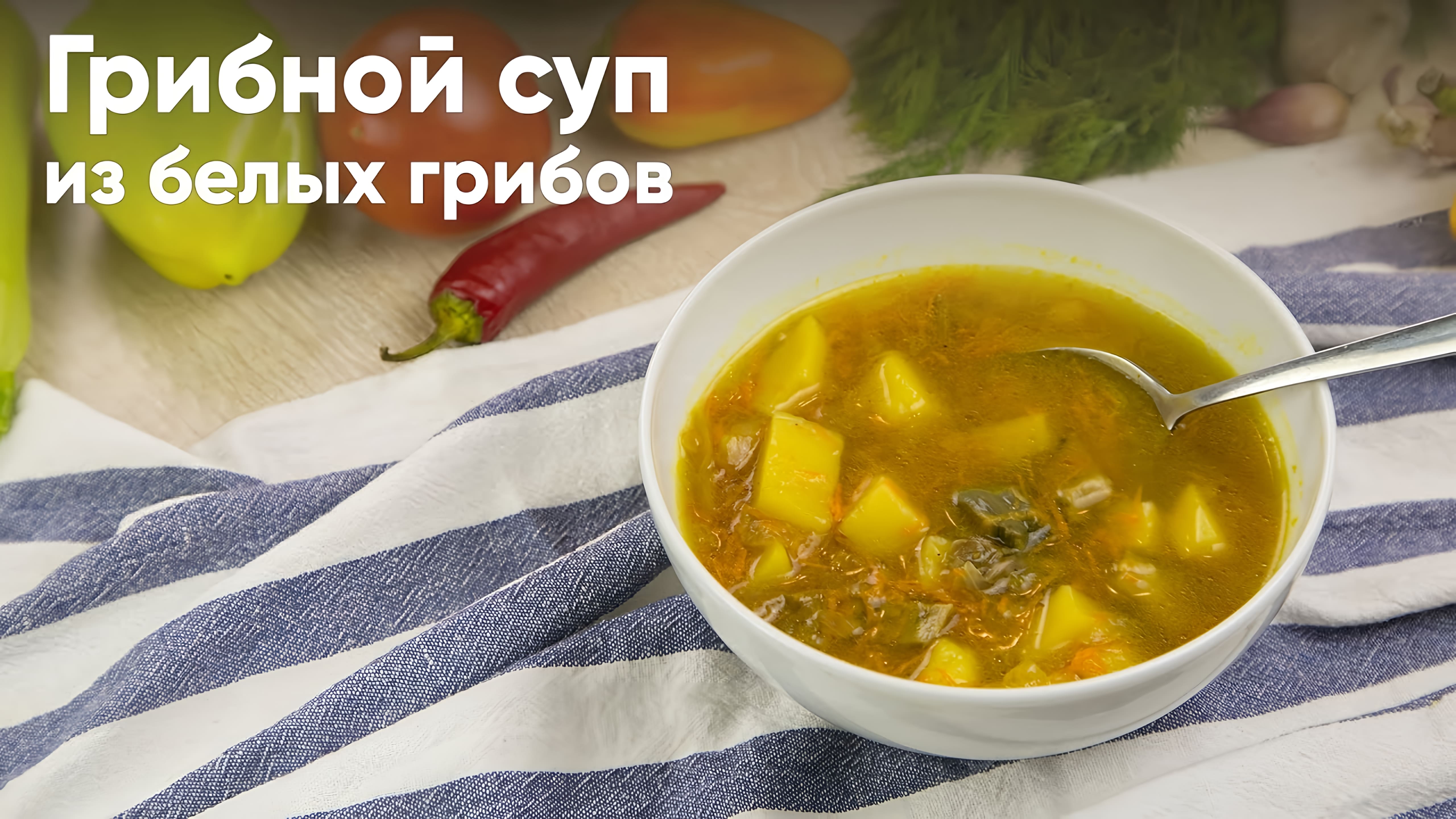 Видео: Быстрый рецепт грибного супа из белых грибов/ ПРОСТО и ВКУСНО