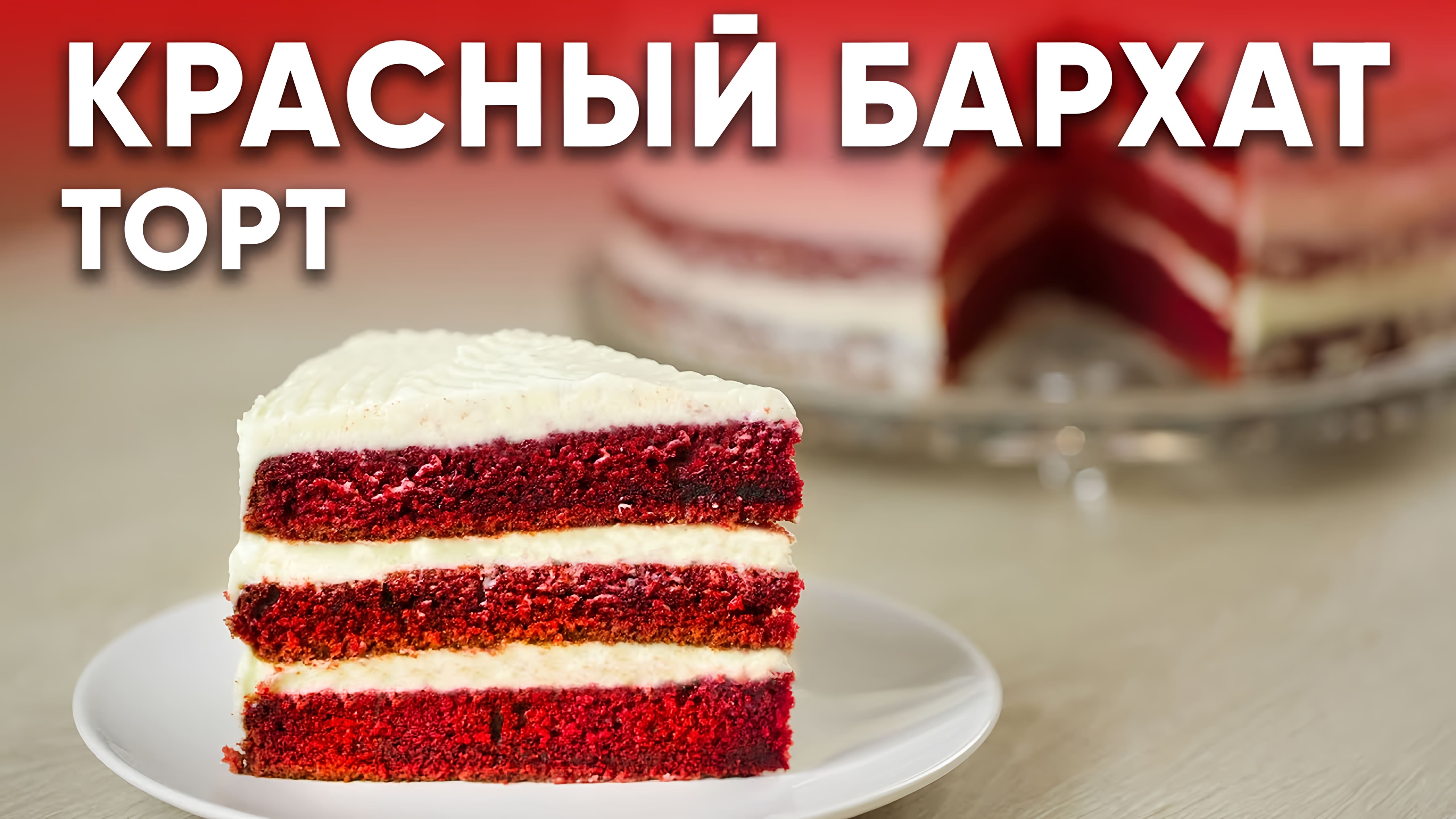 Видео: Самый романтичный торт КРАСНЫЙ БАРХАТ! САМЫЙ ВКУСНЫЙ РЕЦЕПТ торта Красный бархат! Red Velvet