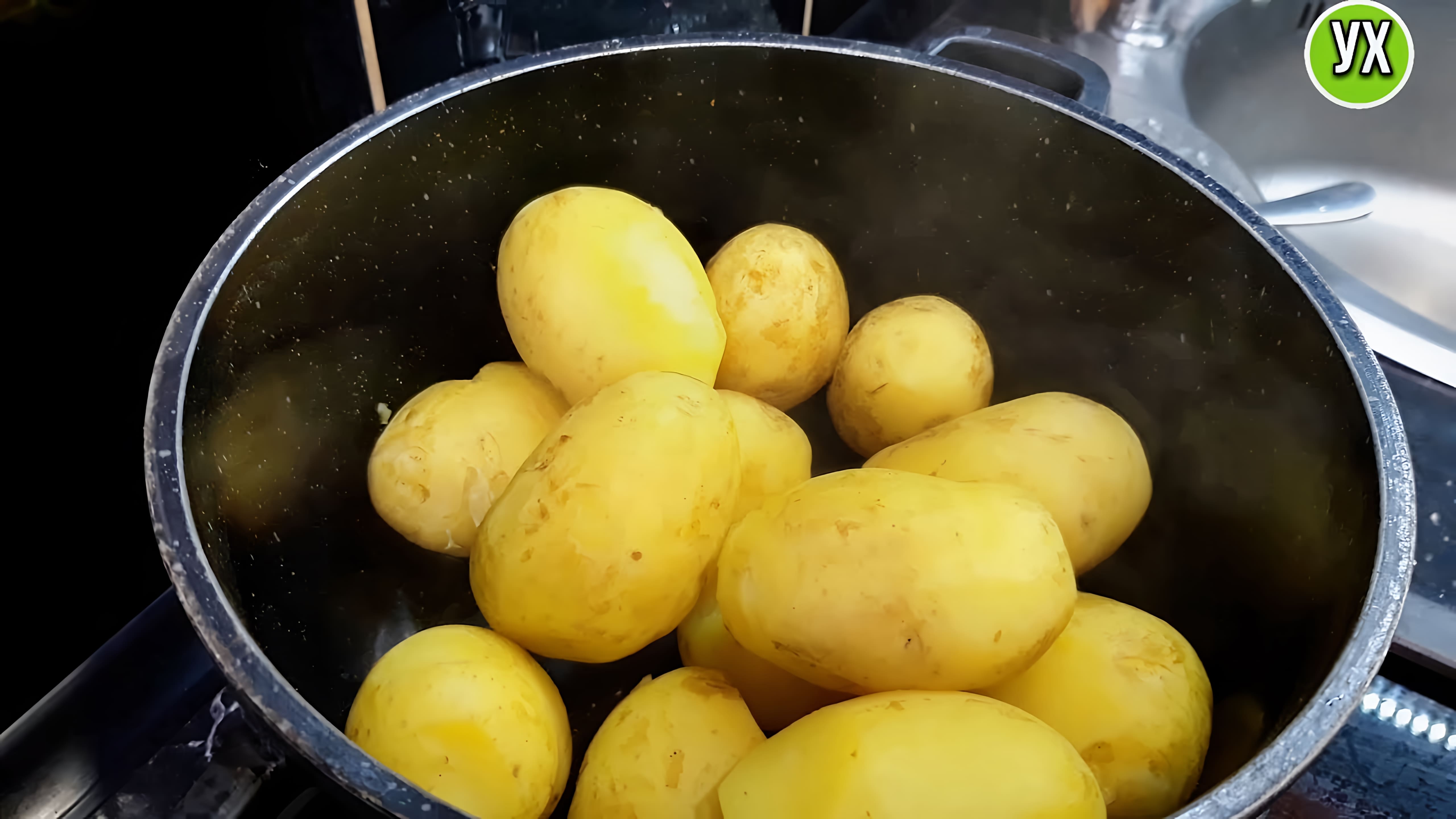 Видео: Молодой картофель с заливкой. Простые ингредиенты, а вкусно очень! Młode ziemniaki z nadzieniem.