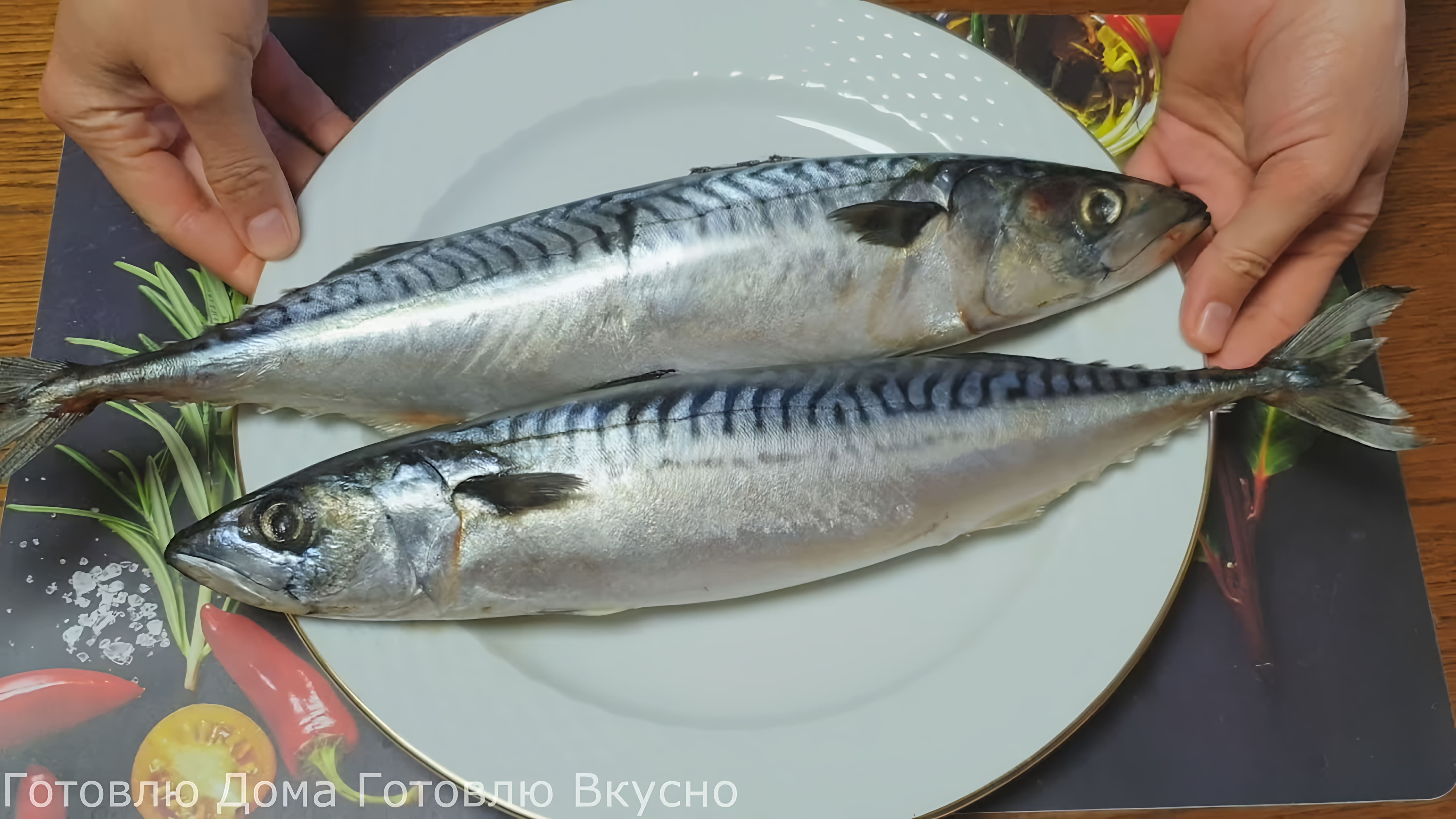 Видео: Скумбрия УЛЁТ! Даже соус вымакивают! Рецепт ПОДСЛУШАЛА в МАРШРУТКЕ. Муж в ВОСТОРГЕ