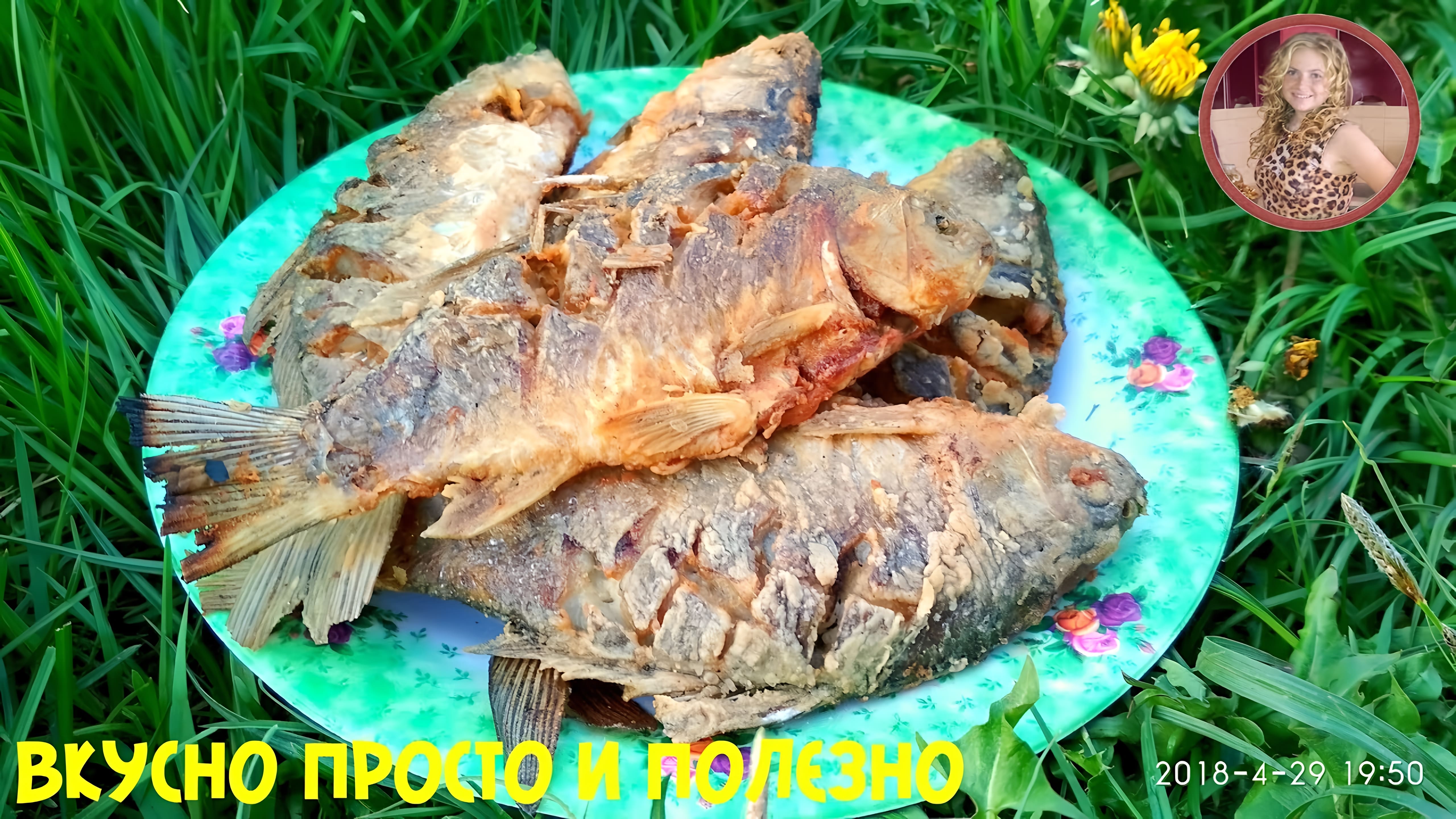 Видео: Все в Шоке Как Же Это Вкусно! Жареные Карасики на Природе. Маевка — Отдыхаем!