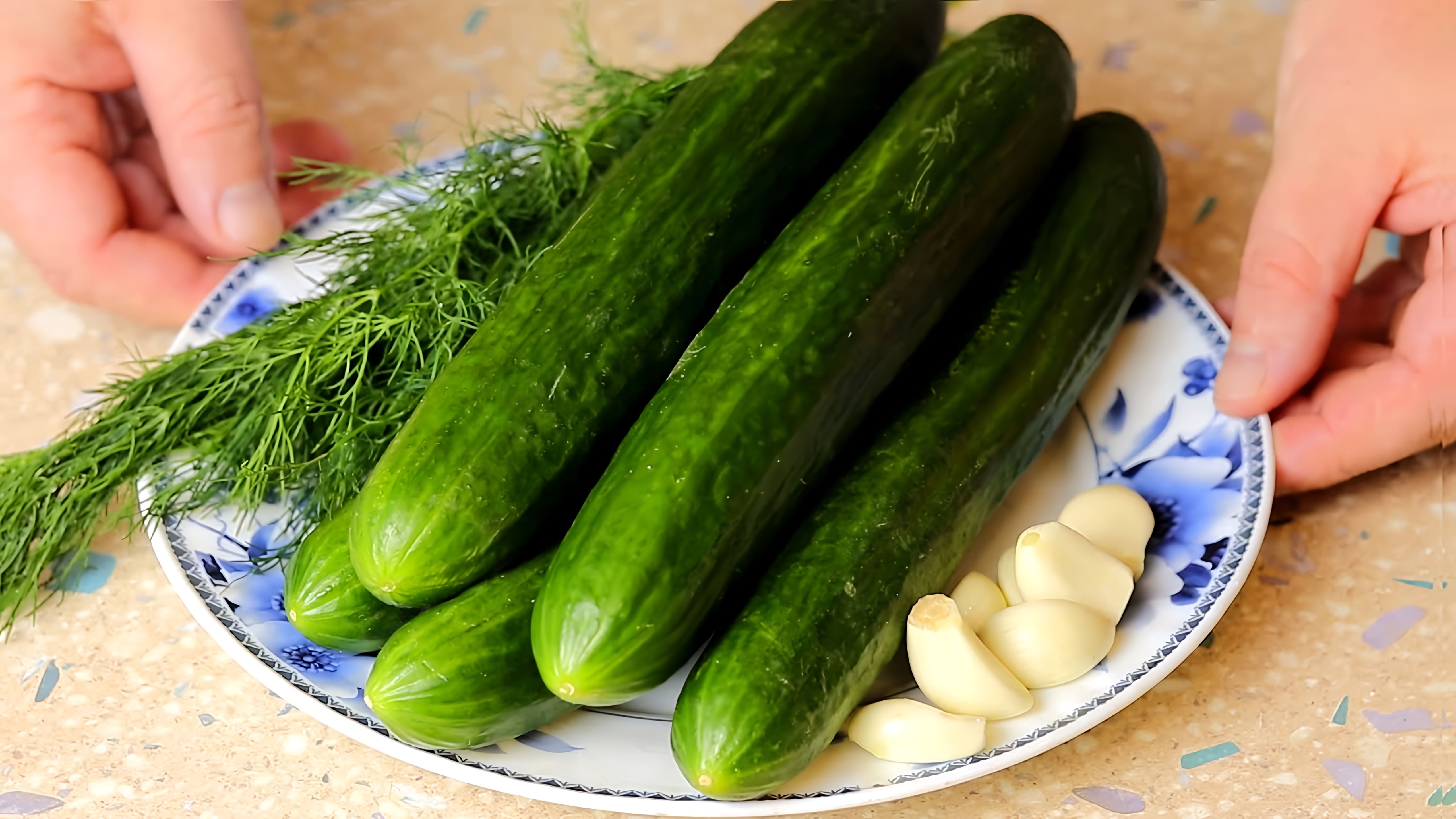 Видео: Это вкуснее, чем МАЛОСОЛЬНЫЕ огурцы. Готовьте сразу много, чтобы на неделю хватило!