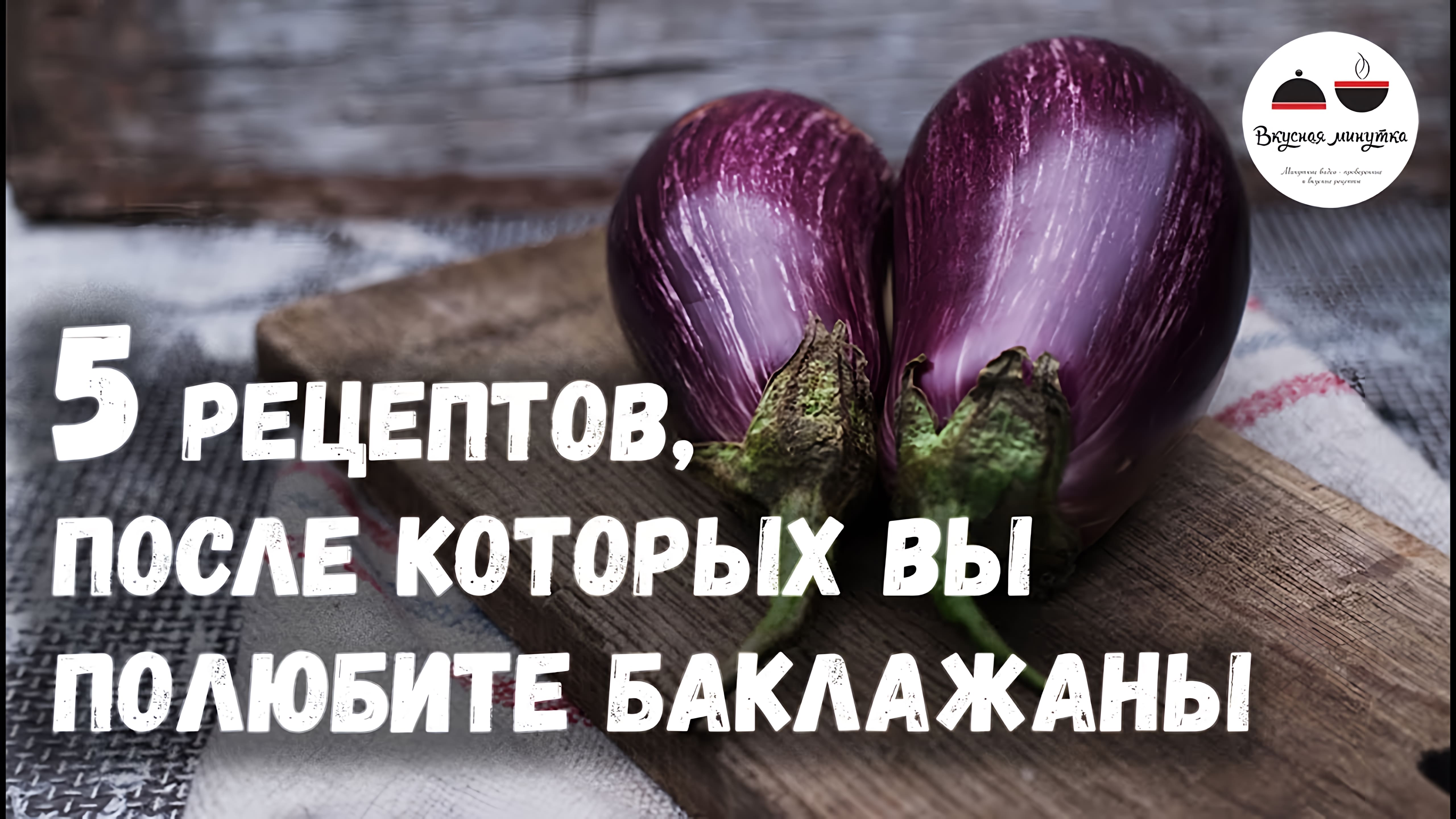 Видео: 5 РЕЦЕПТОВ, после которых вы полюбите БАКЛАЖАНЫ  Eggplants